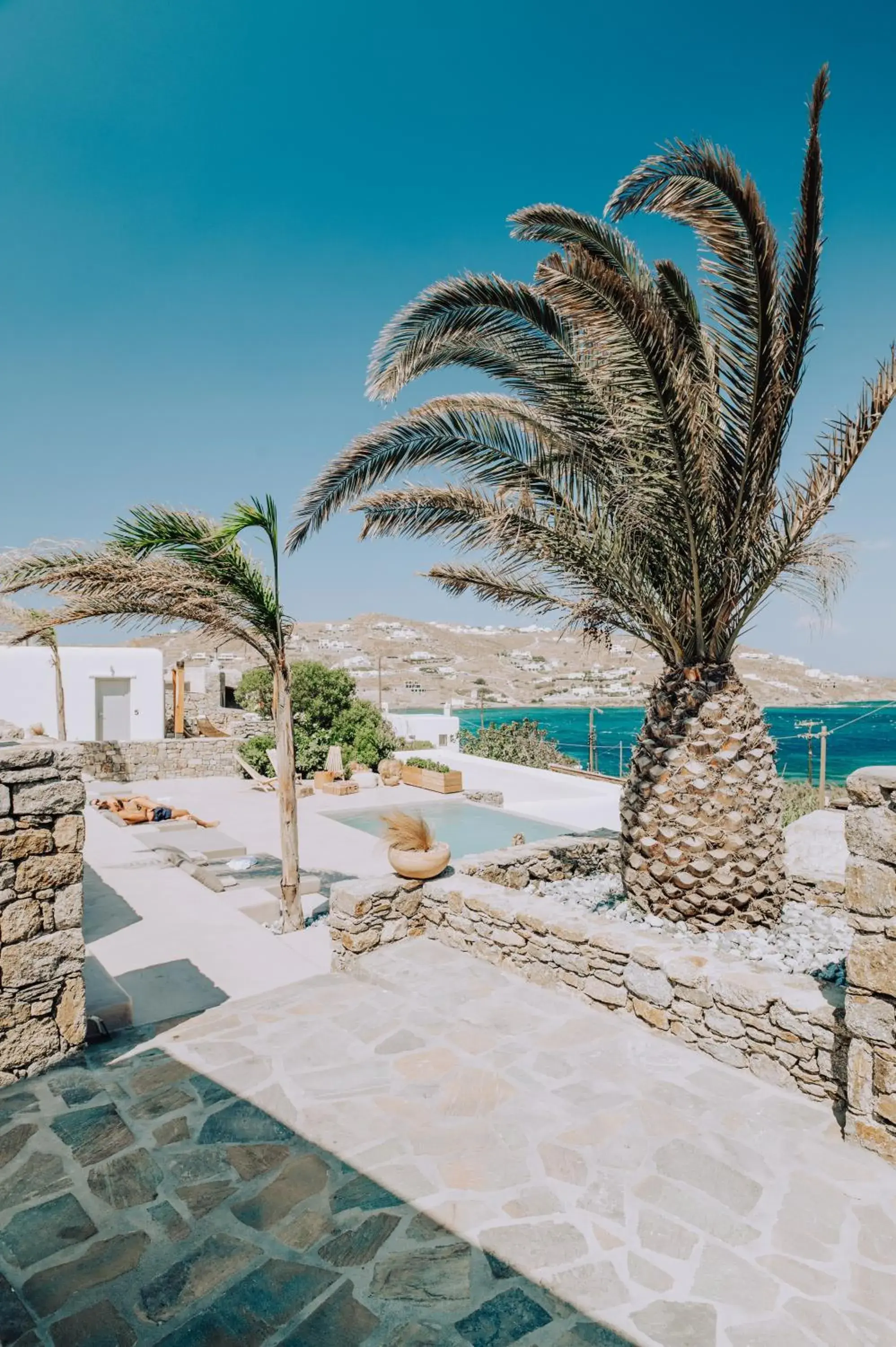 Aelia Mykonos Aelia Mykonos
