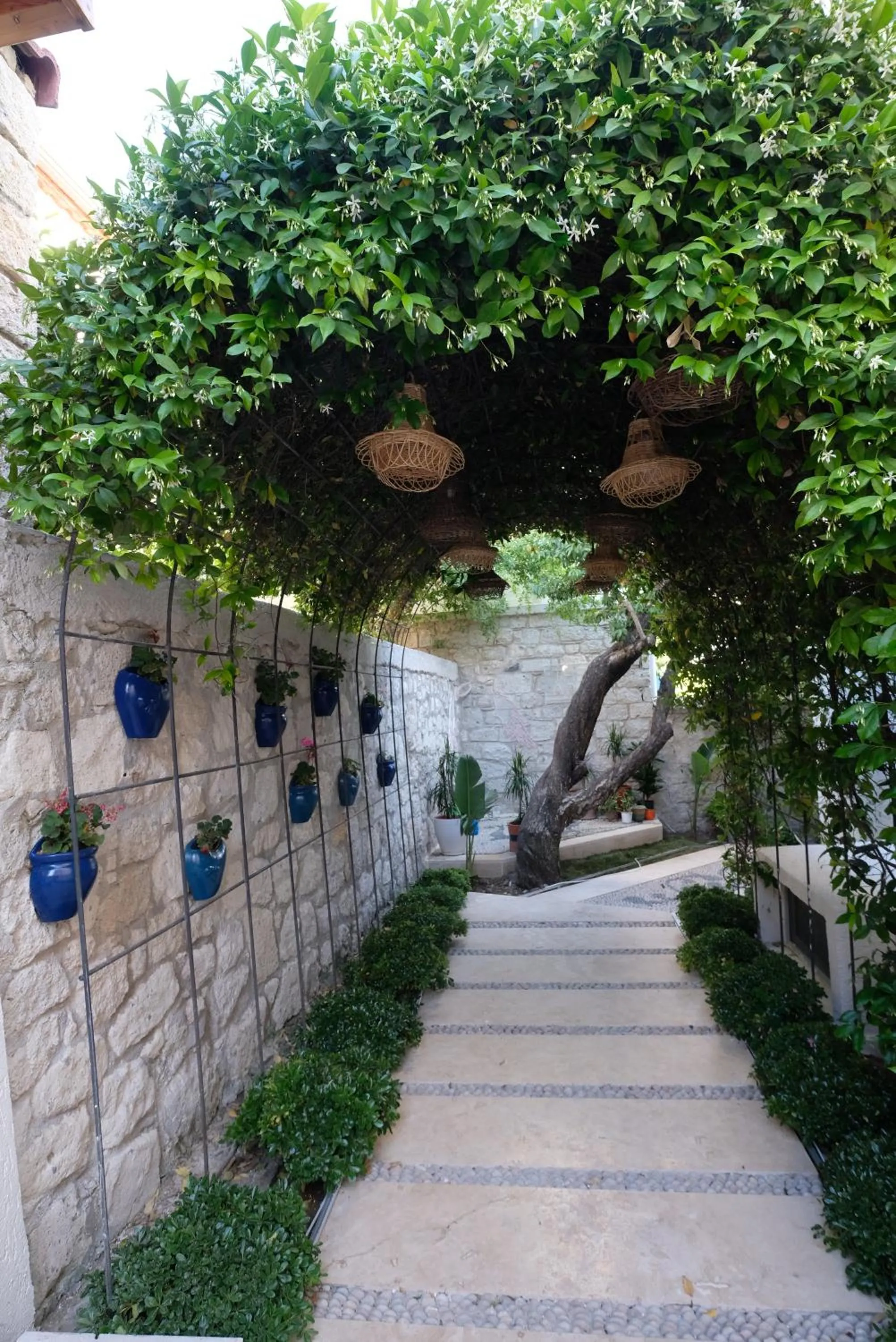 Garden in The ABC Hotel