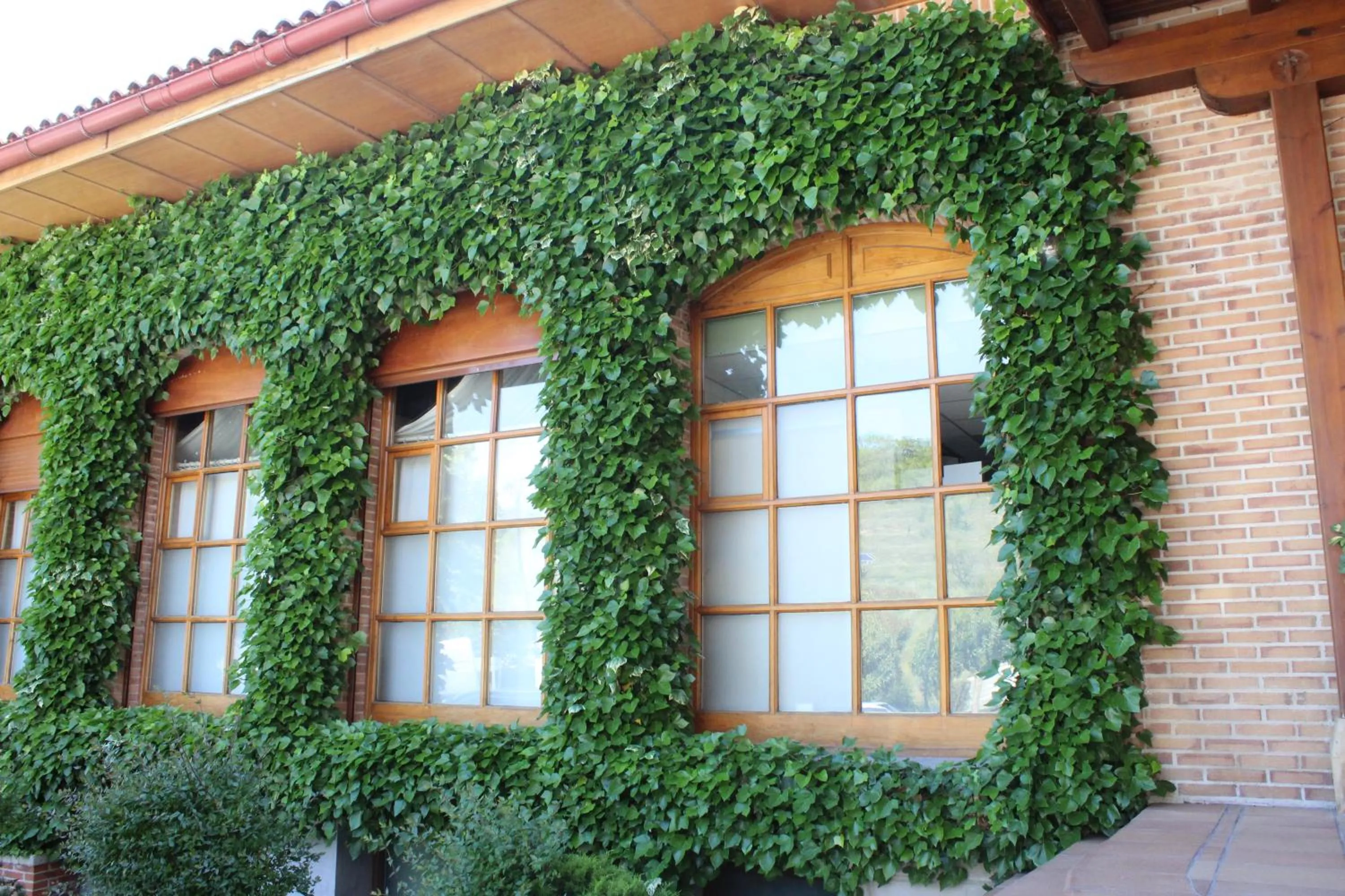 Off site in Albergue Jakue