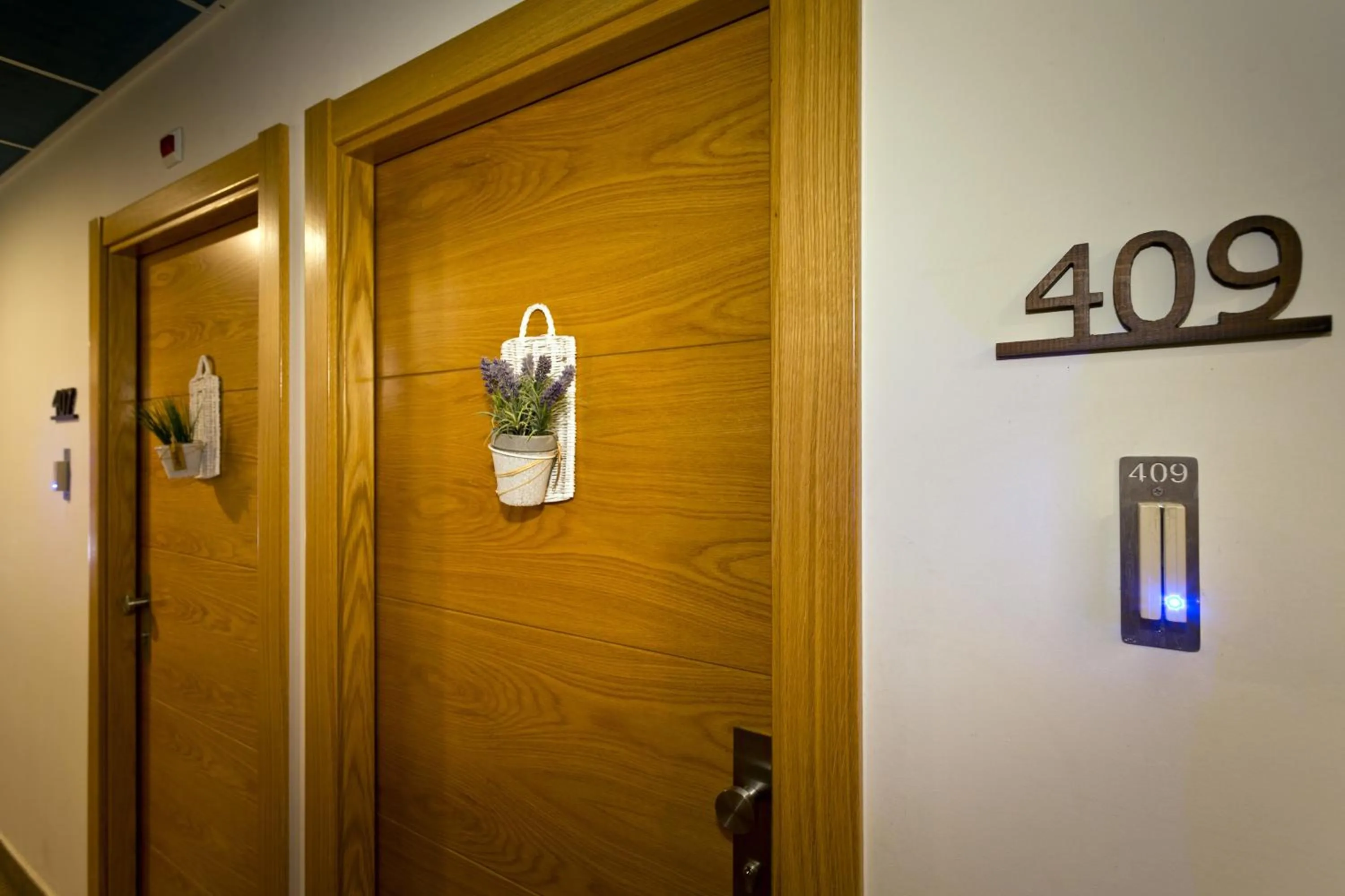 Other in Albergue Jakue