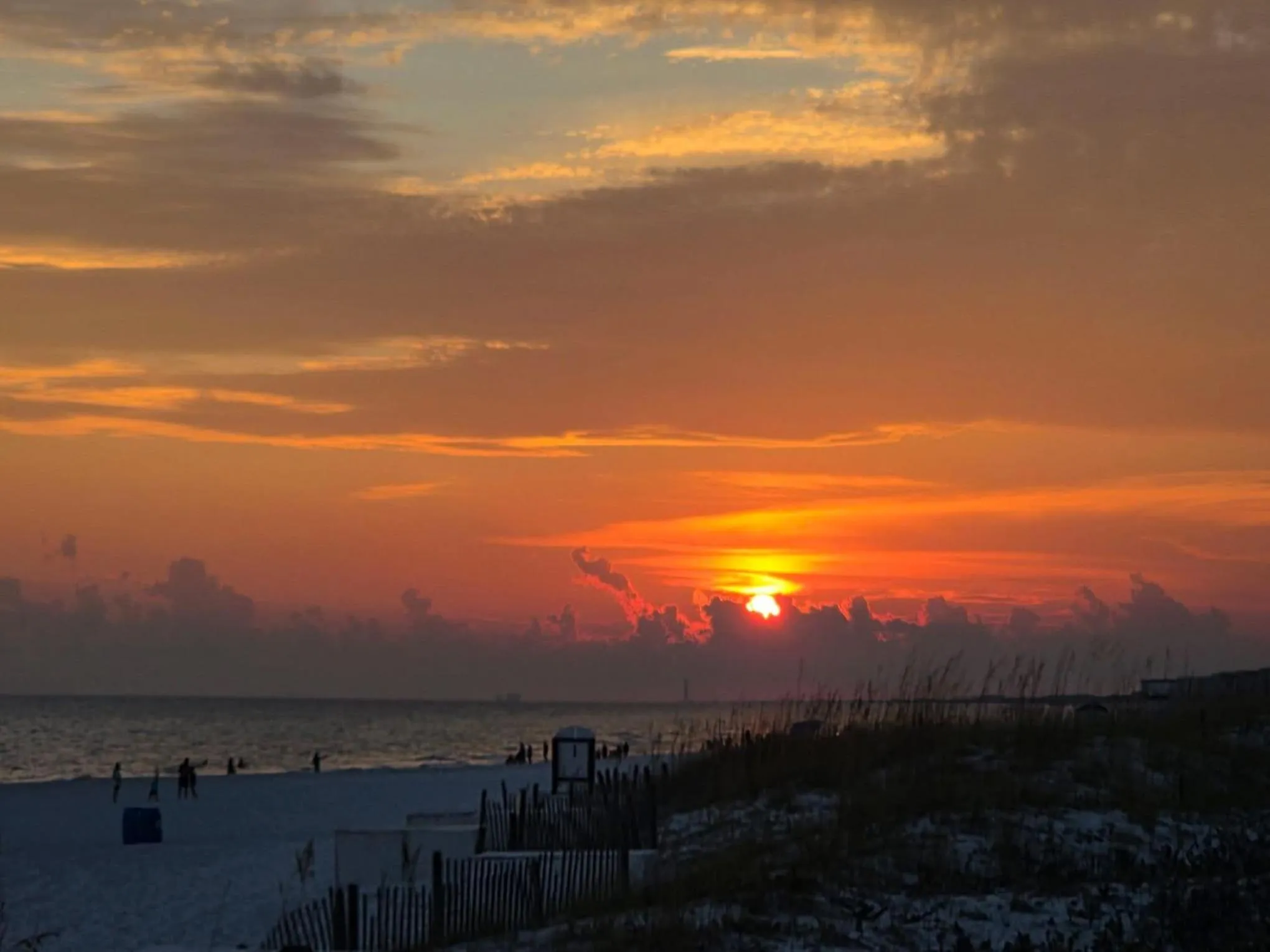 Natural landscape in TownePlace Suites by Marriott Miramar Beach Destin
