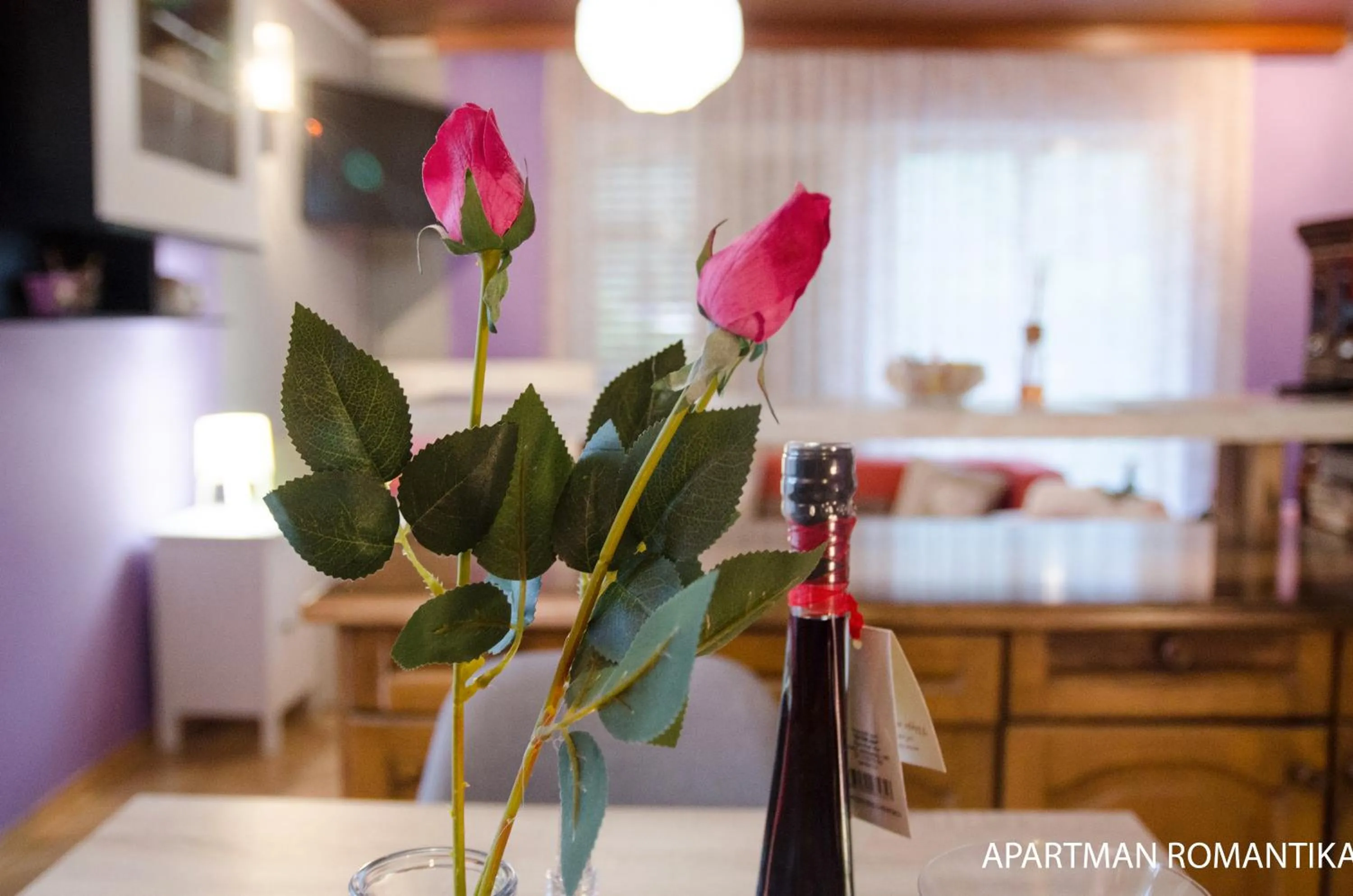 Apartment - single occupancy in Apartments Kamenecki