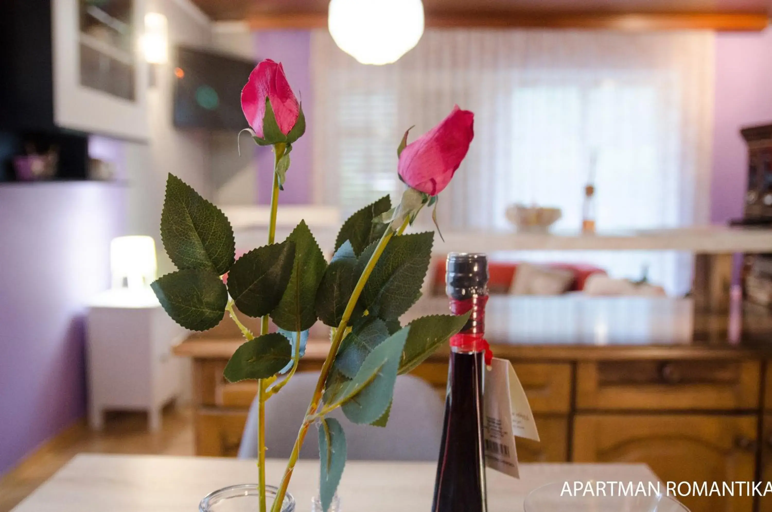 Apartment - single occupancy in Apartments Kamenecki Apartment - single occupancy in Apartments Kamenecki