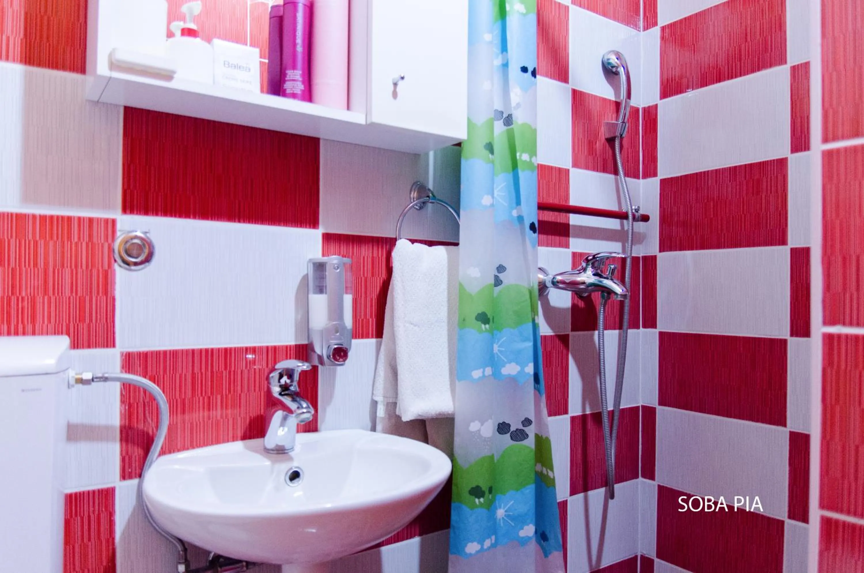 Room with Bunk Bed in Apartments Kamenecki