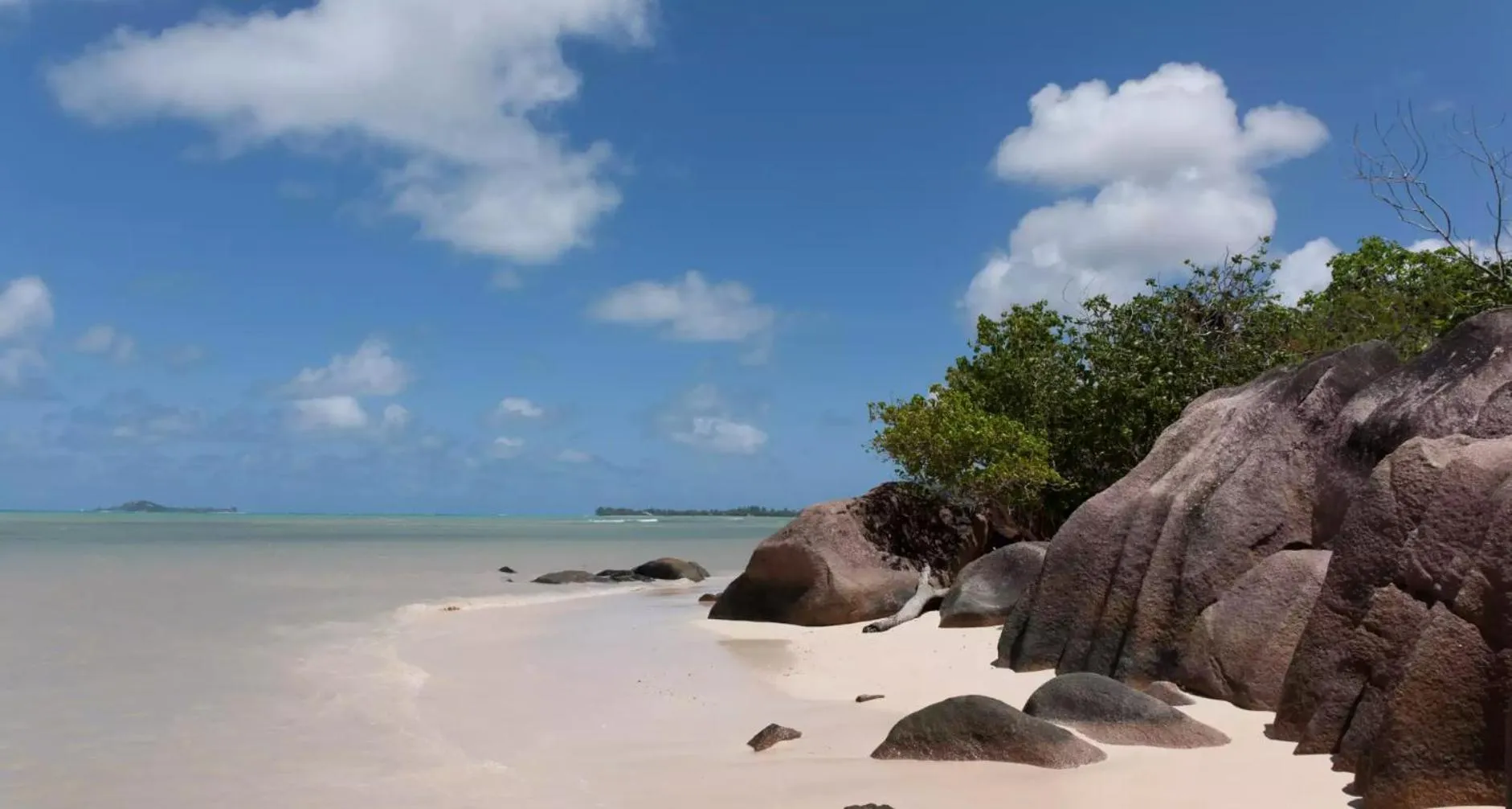 Beach in Villa Confort