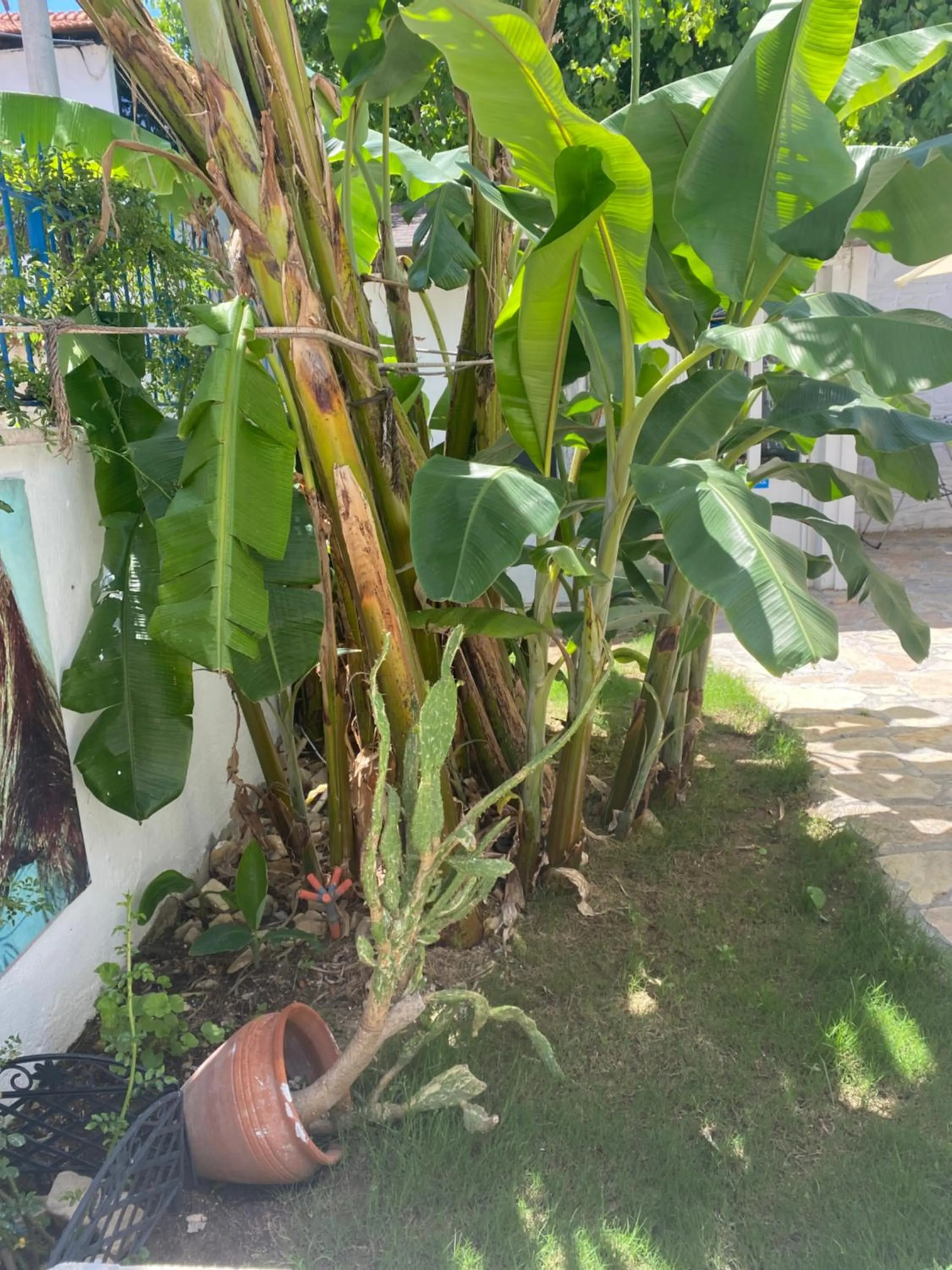 Property building in Mavi Butik Apart