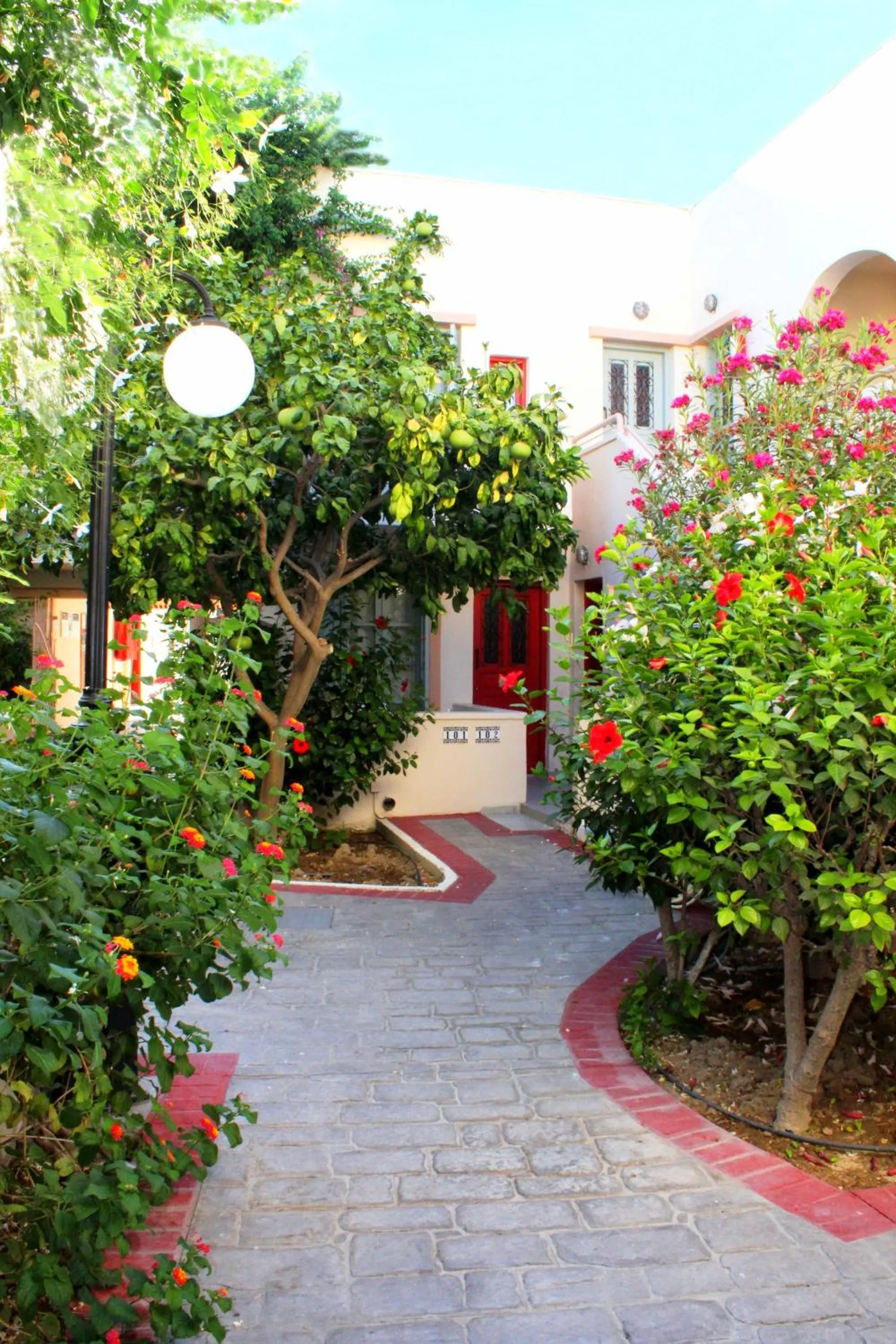 Garden in Nissia Kamares