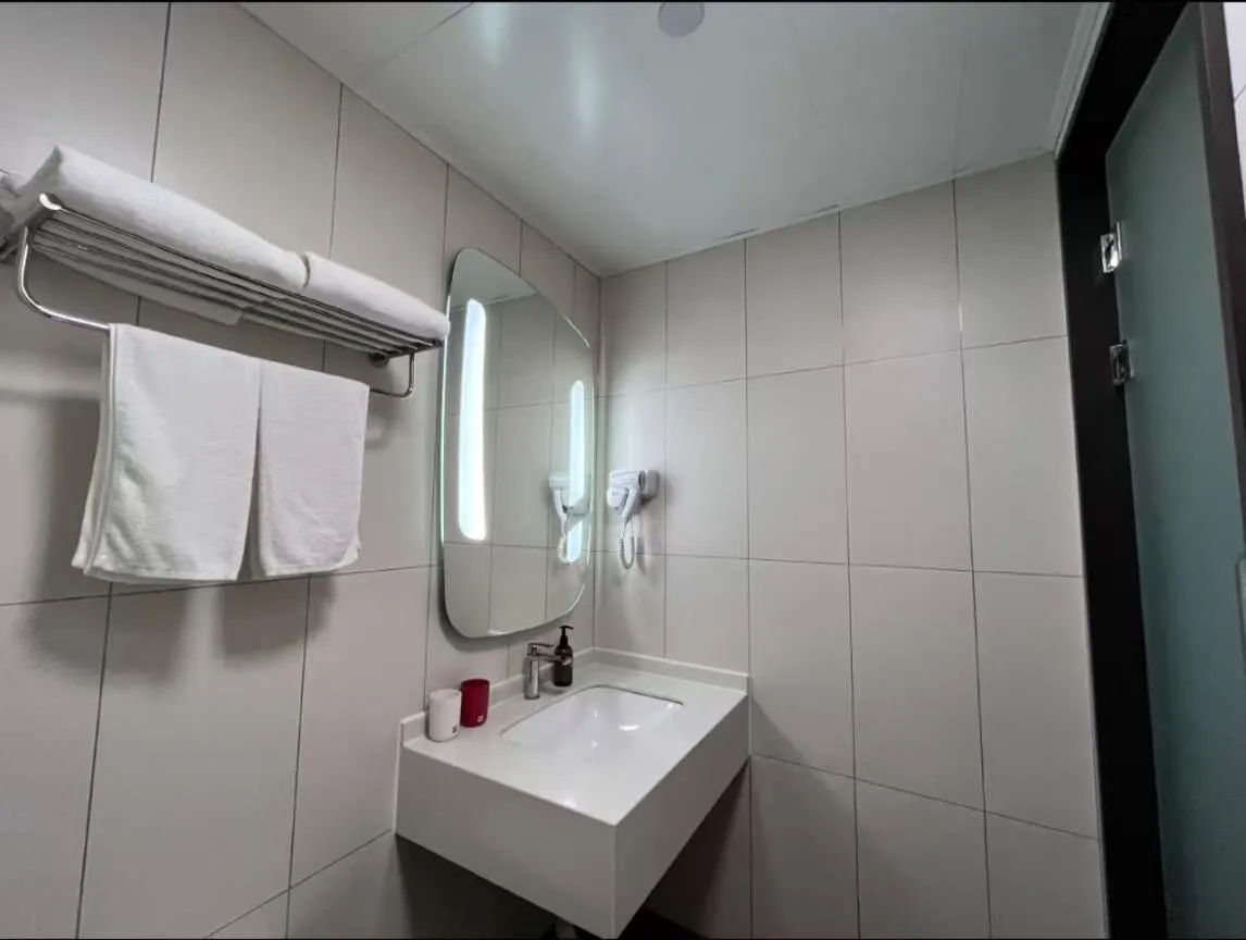 ibis Shanghai International Tourism Resort Xiupu Road