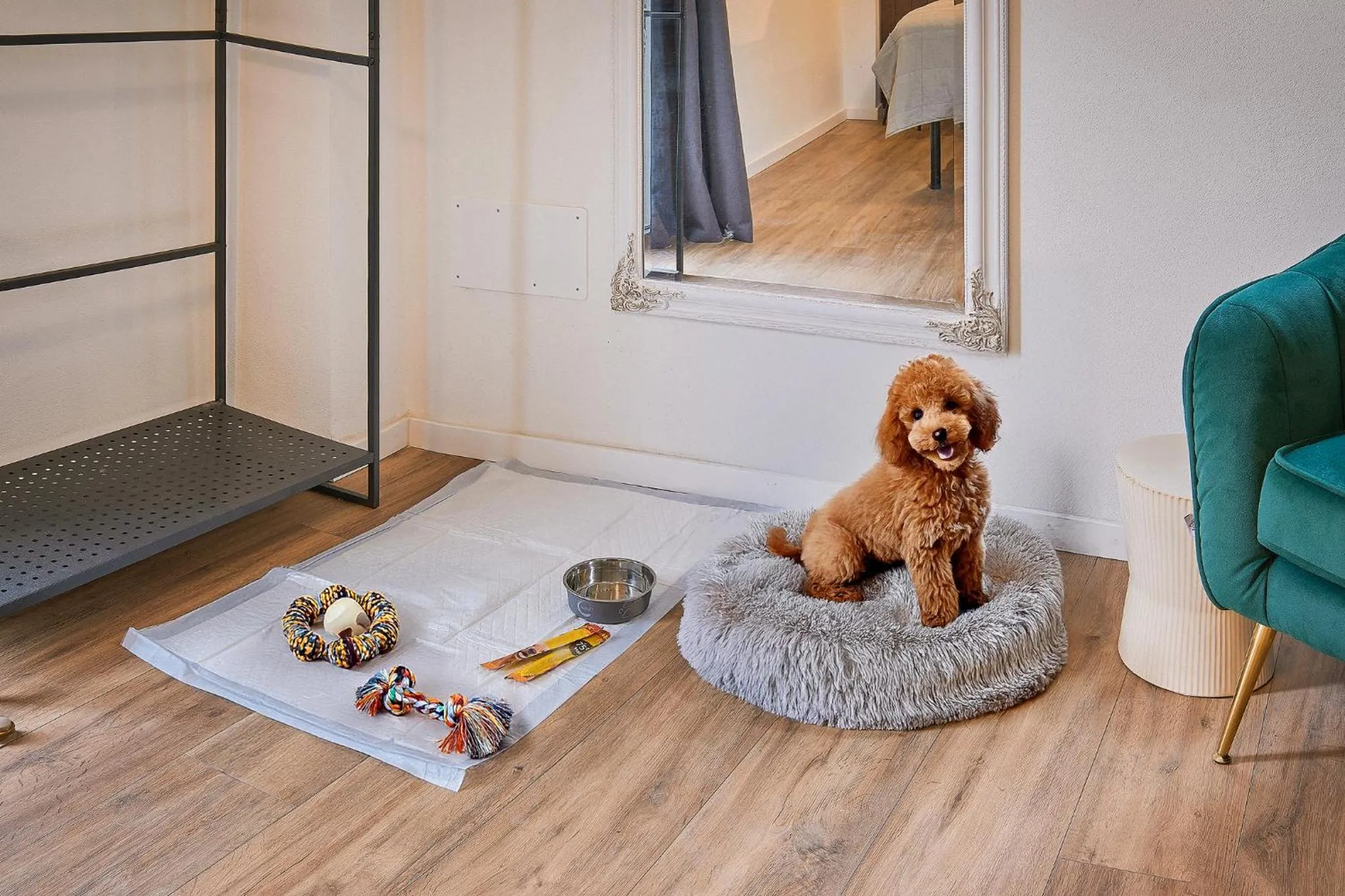 Pets in Delta Dreams Guest House