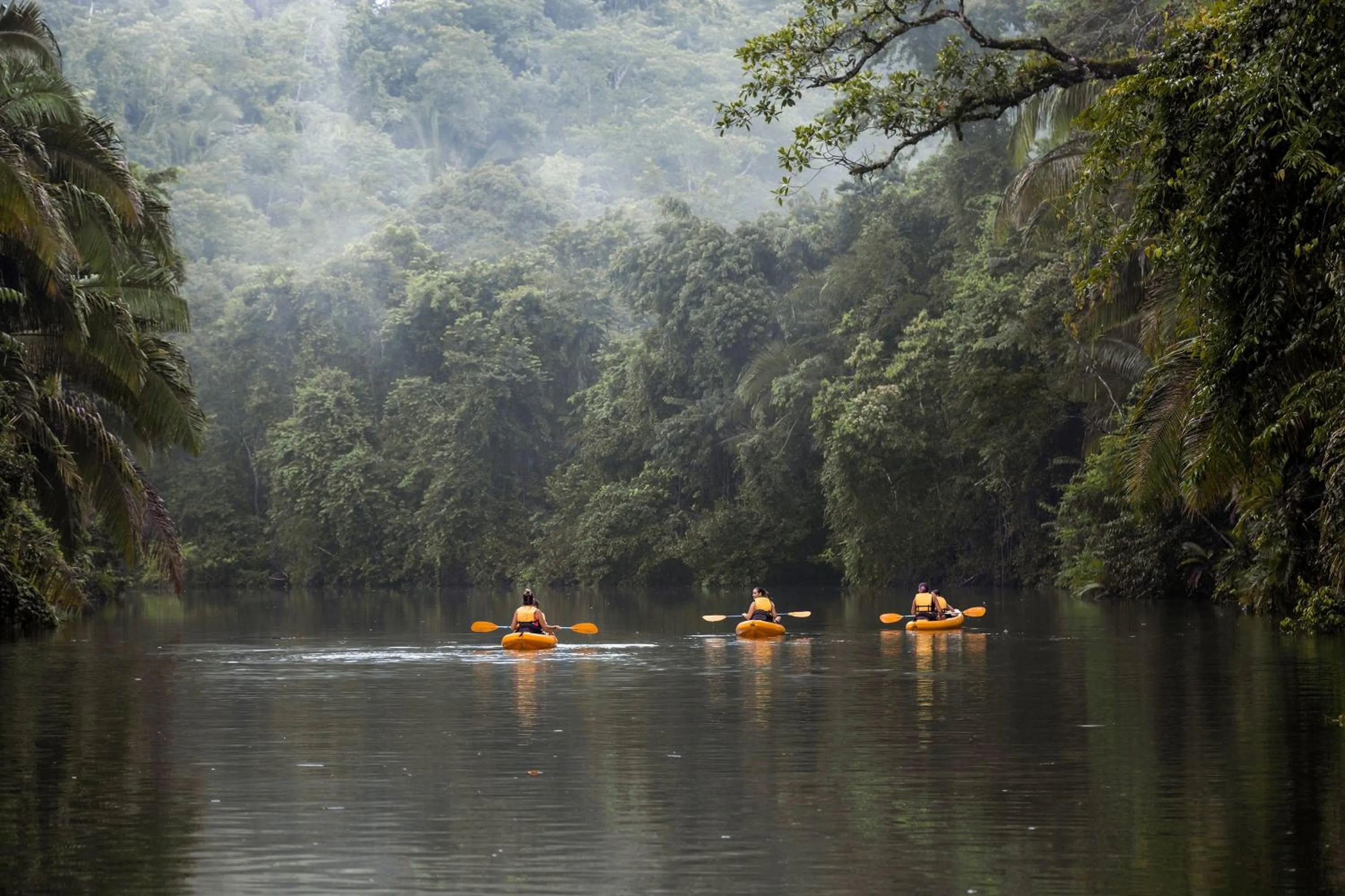 Activities in Copal Tree Lodge a Muy'Ono Resort