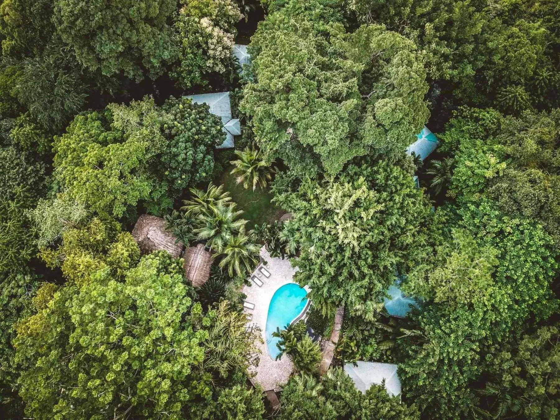 Natural landscape in Copal Tree Lodge a Muy'Ono Resort