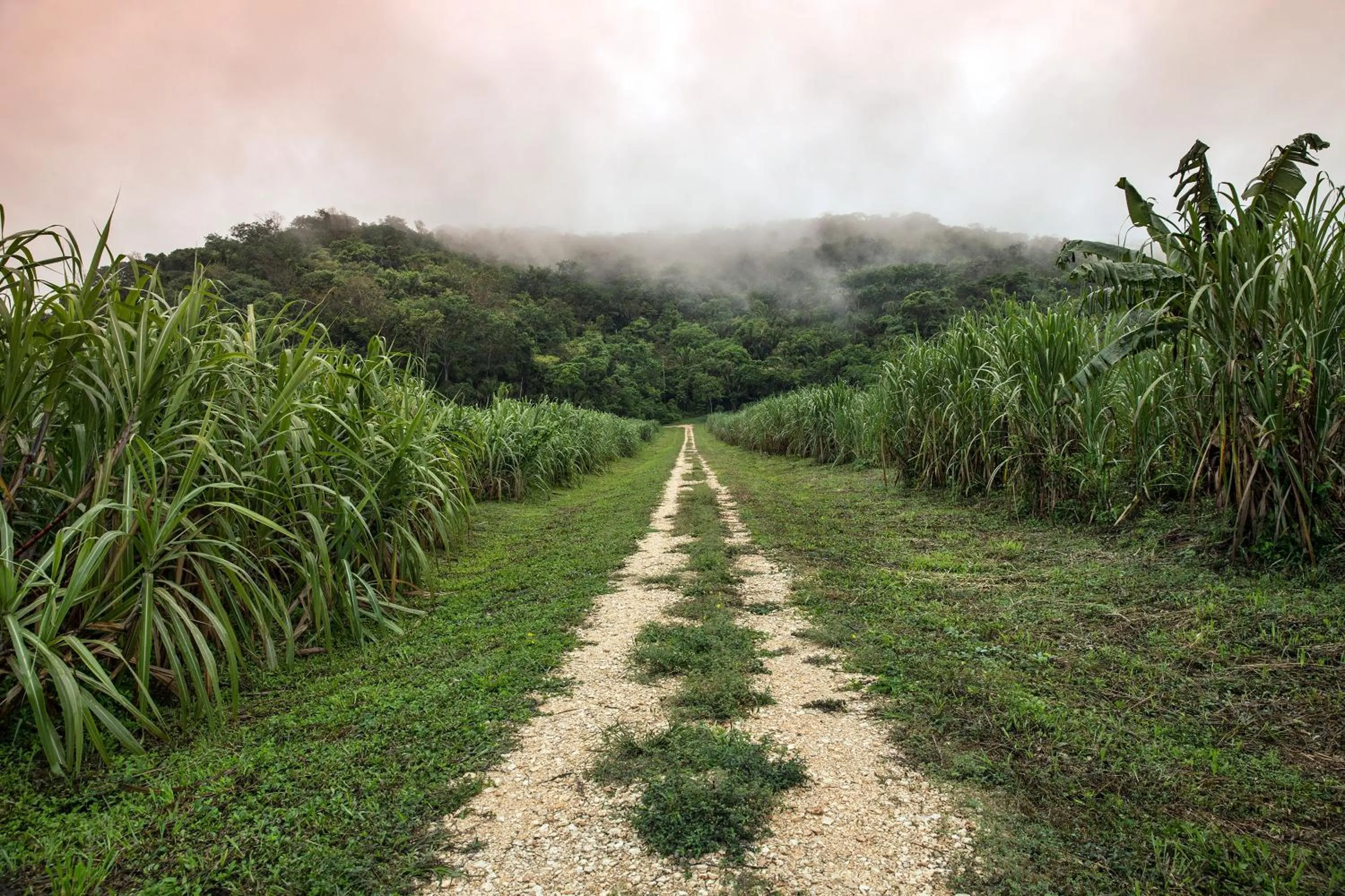 Natural landscape in Copal Tree Lodge a Muy'Ono Resort