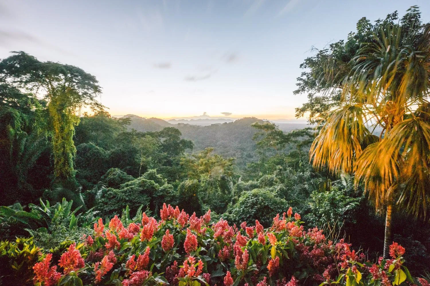 Natural landscape in Copal Tree Lodge a Muy'Ono Resort