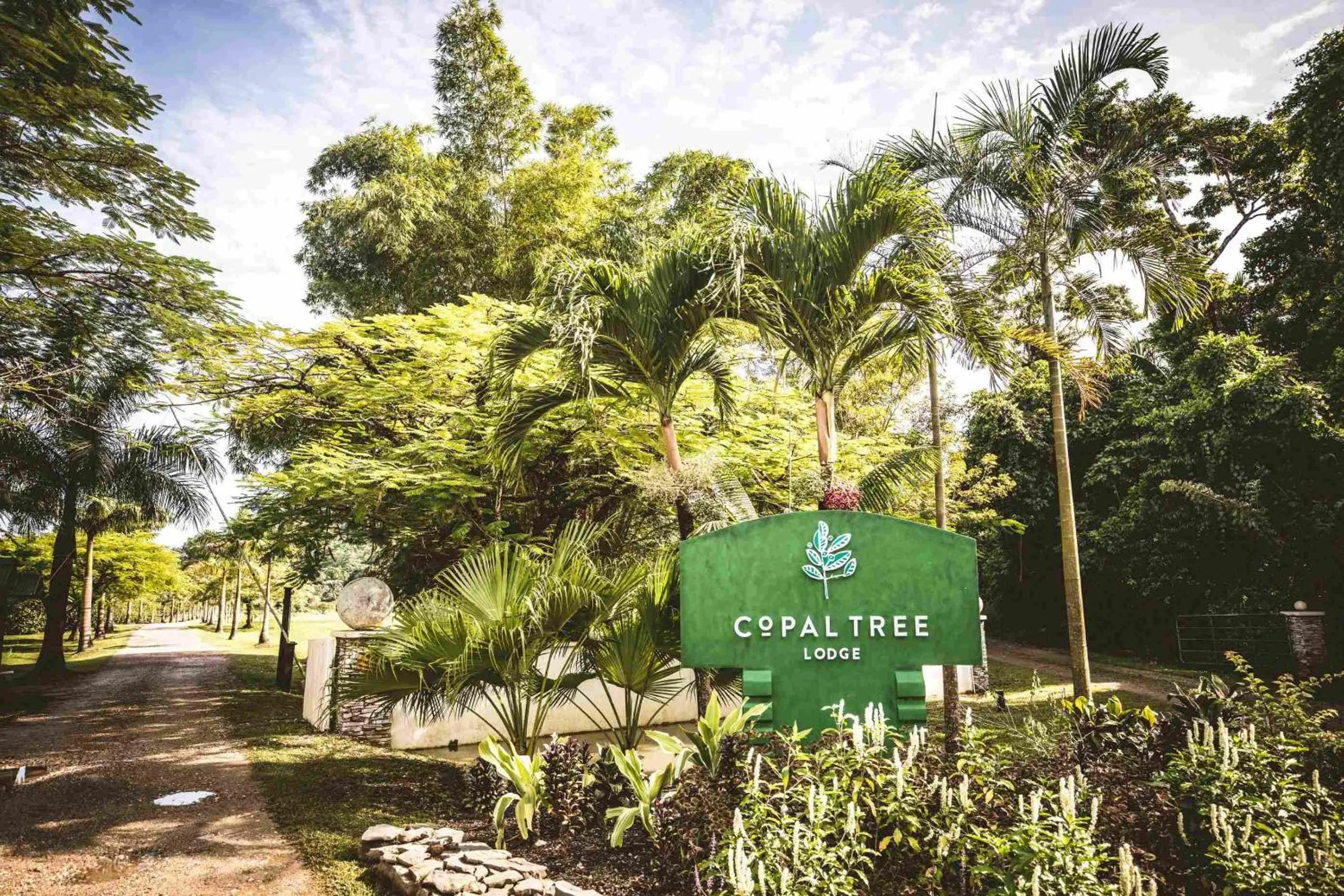 Property logo or sign in Copal Tree Lodge a Muy'Ono Resort