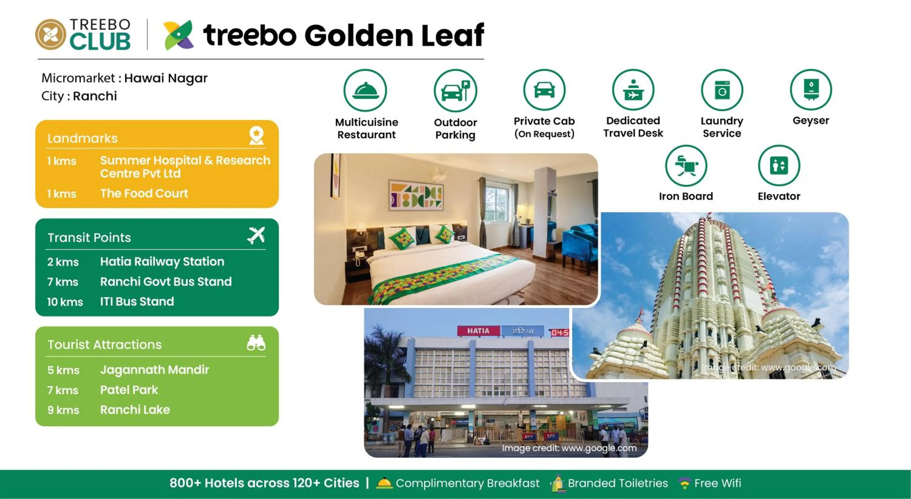 Treebo Golden Leaf