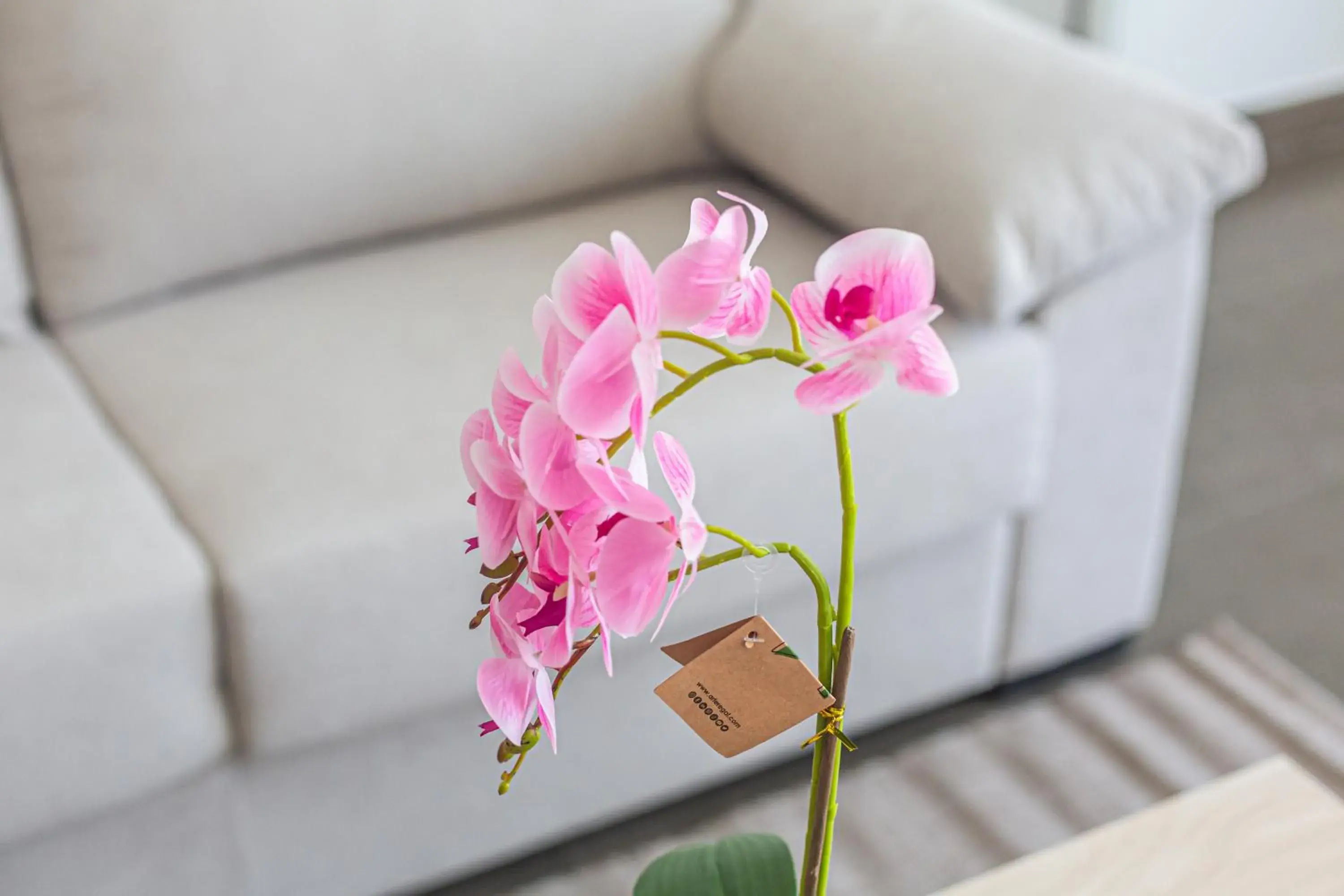 Decorative detail in Maya Bay Suites Decorative detail in Maya Bay Suites