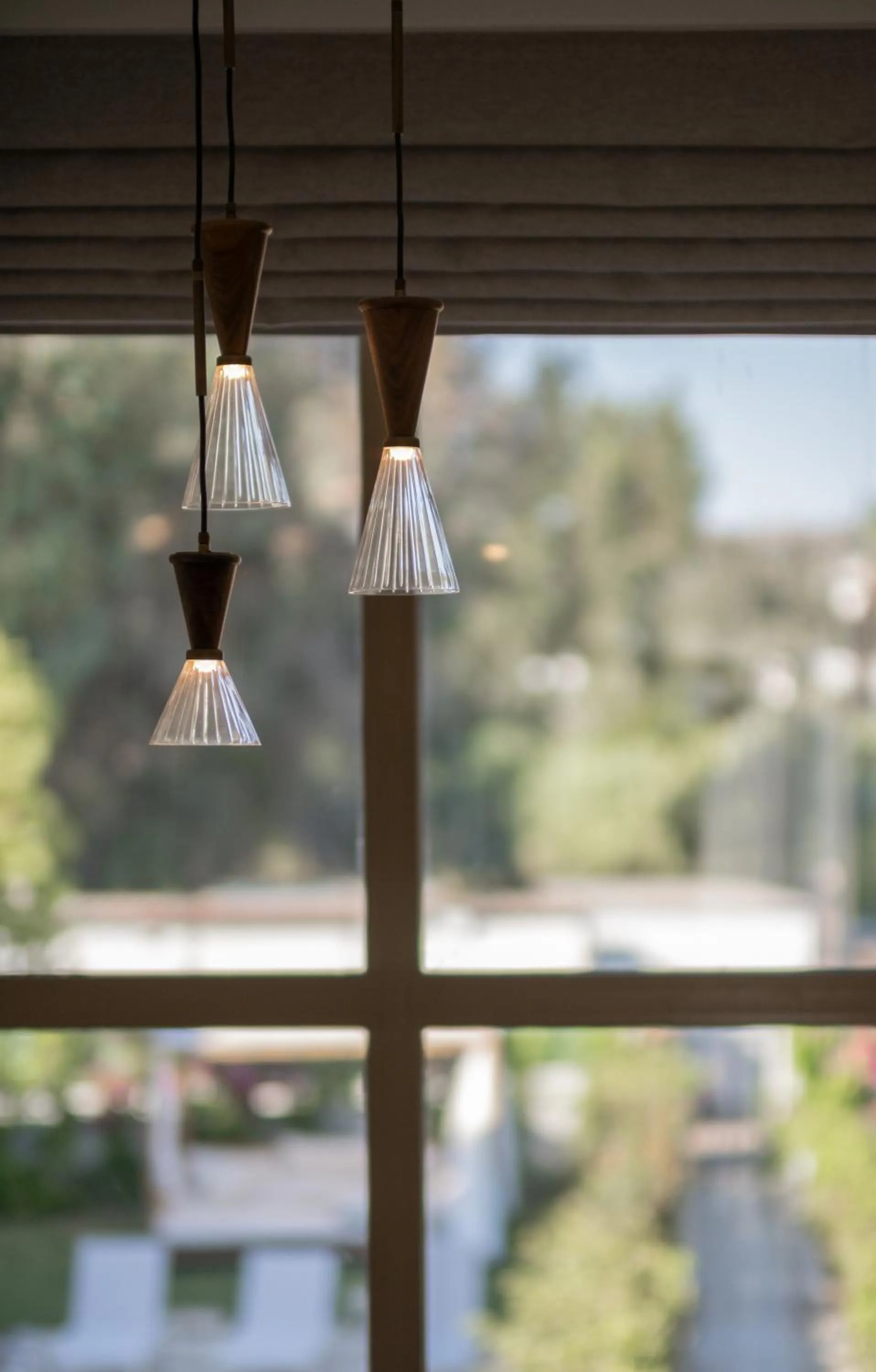 Day in Mimosa Mansions