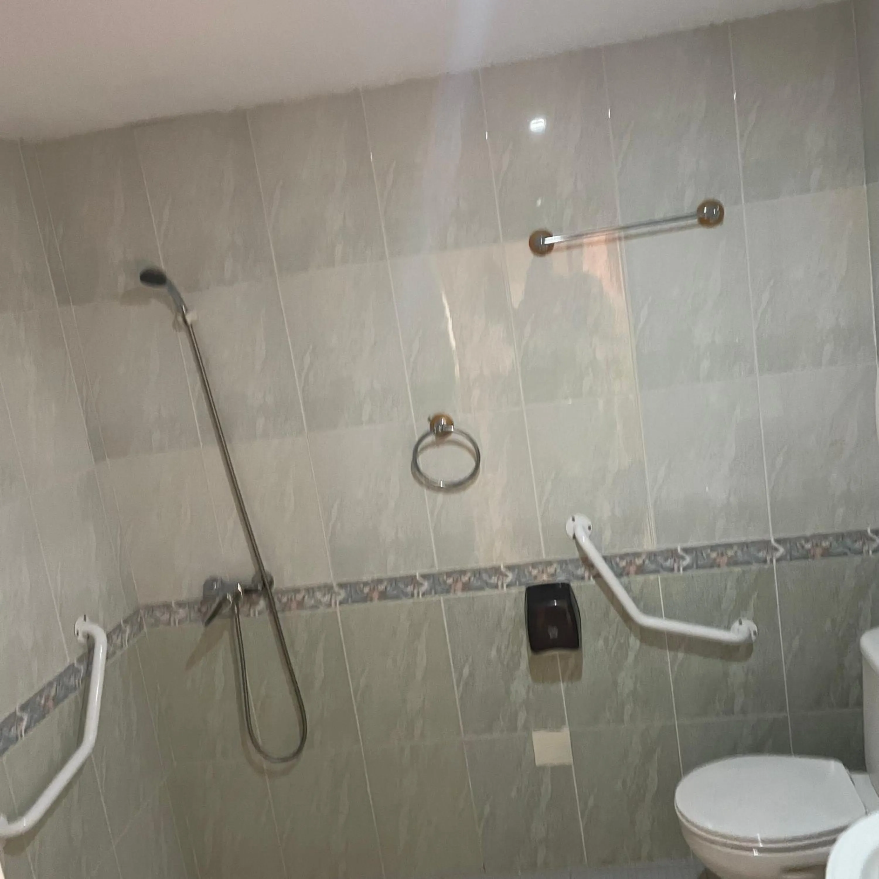 Shower in Hotel Algorfa