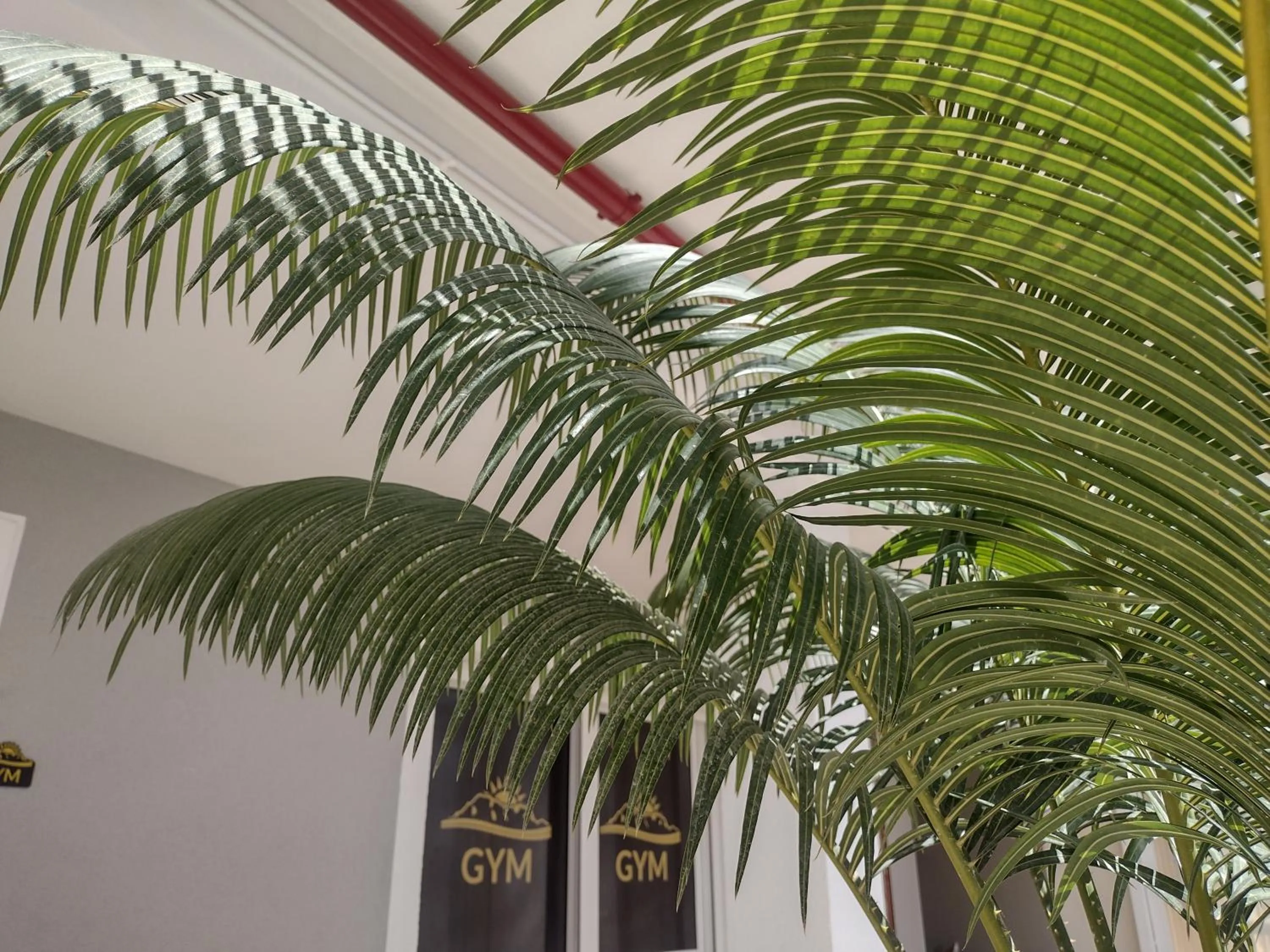 Fitness centre/facilities in Hotel Algorfa