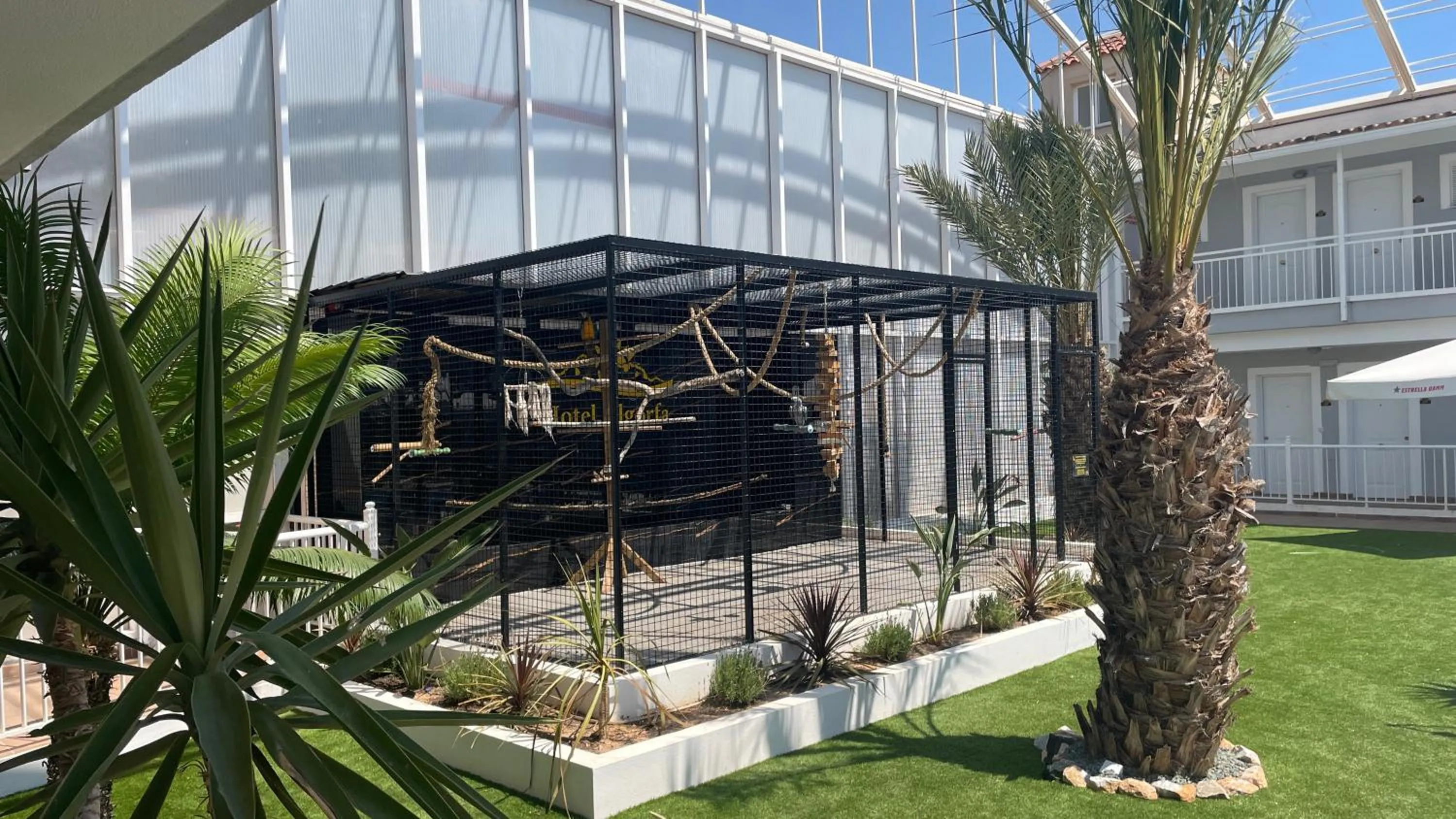 Pool view in Hotel Algorfa