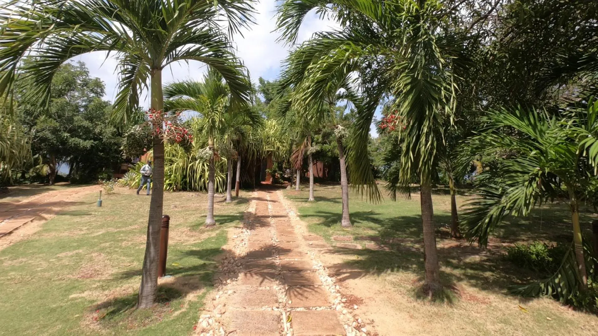 Natural landscape in Hotel Acantilado de La Tierra by On vacation