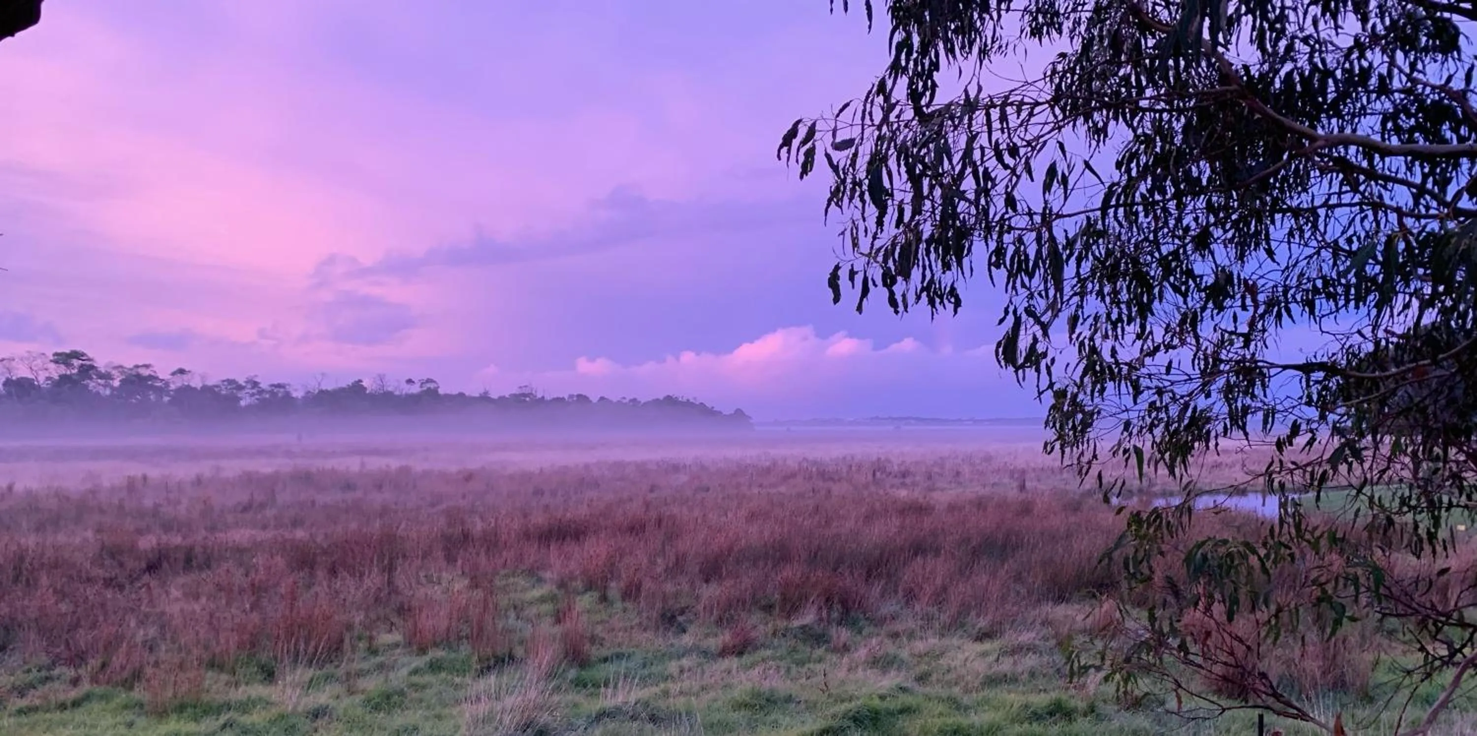 Pelican Point Sanctuary