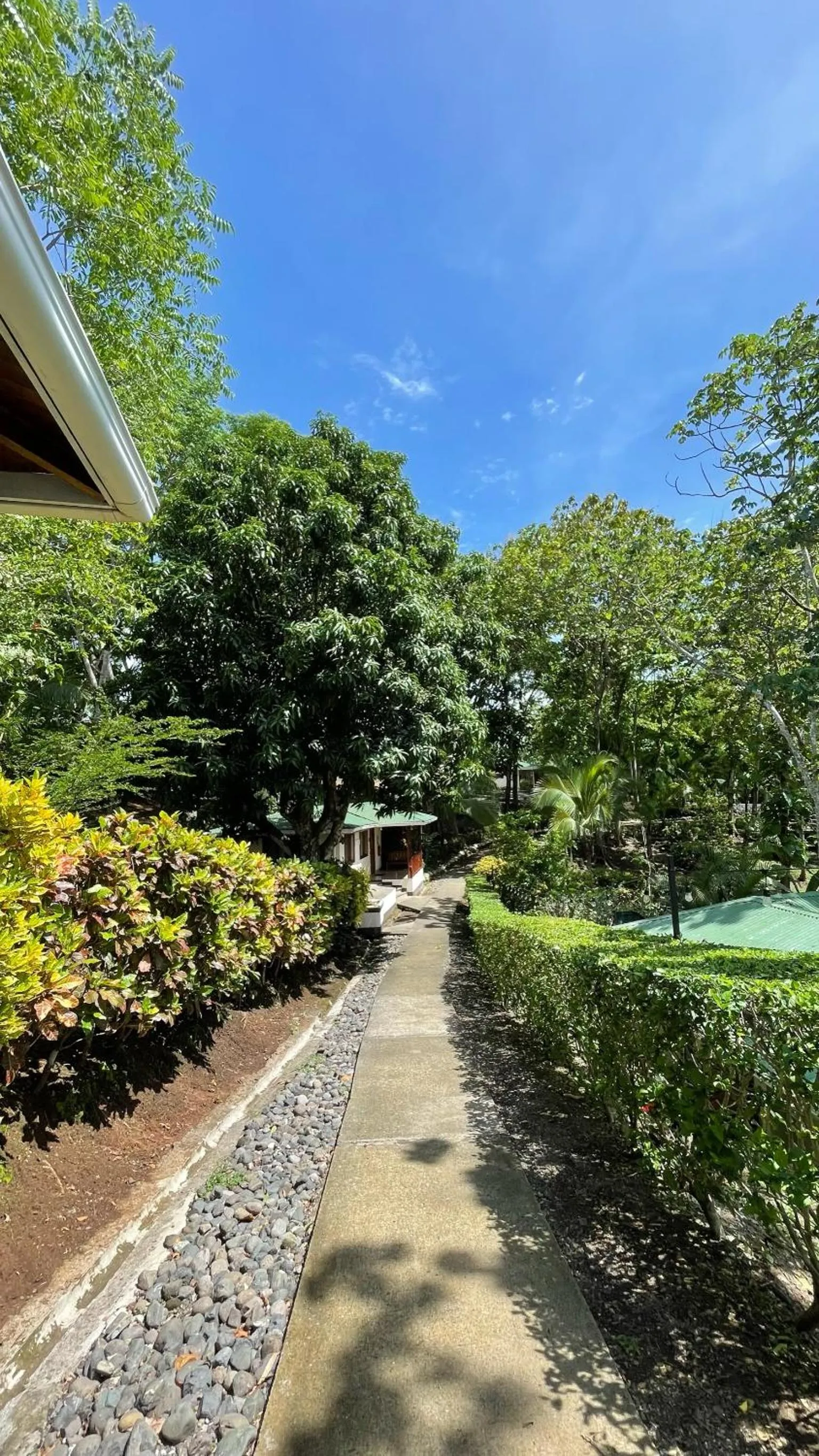 View (from property/room) in Hotel Cerro Lodge
