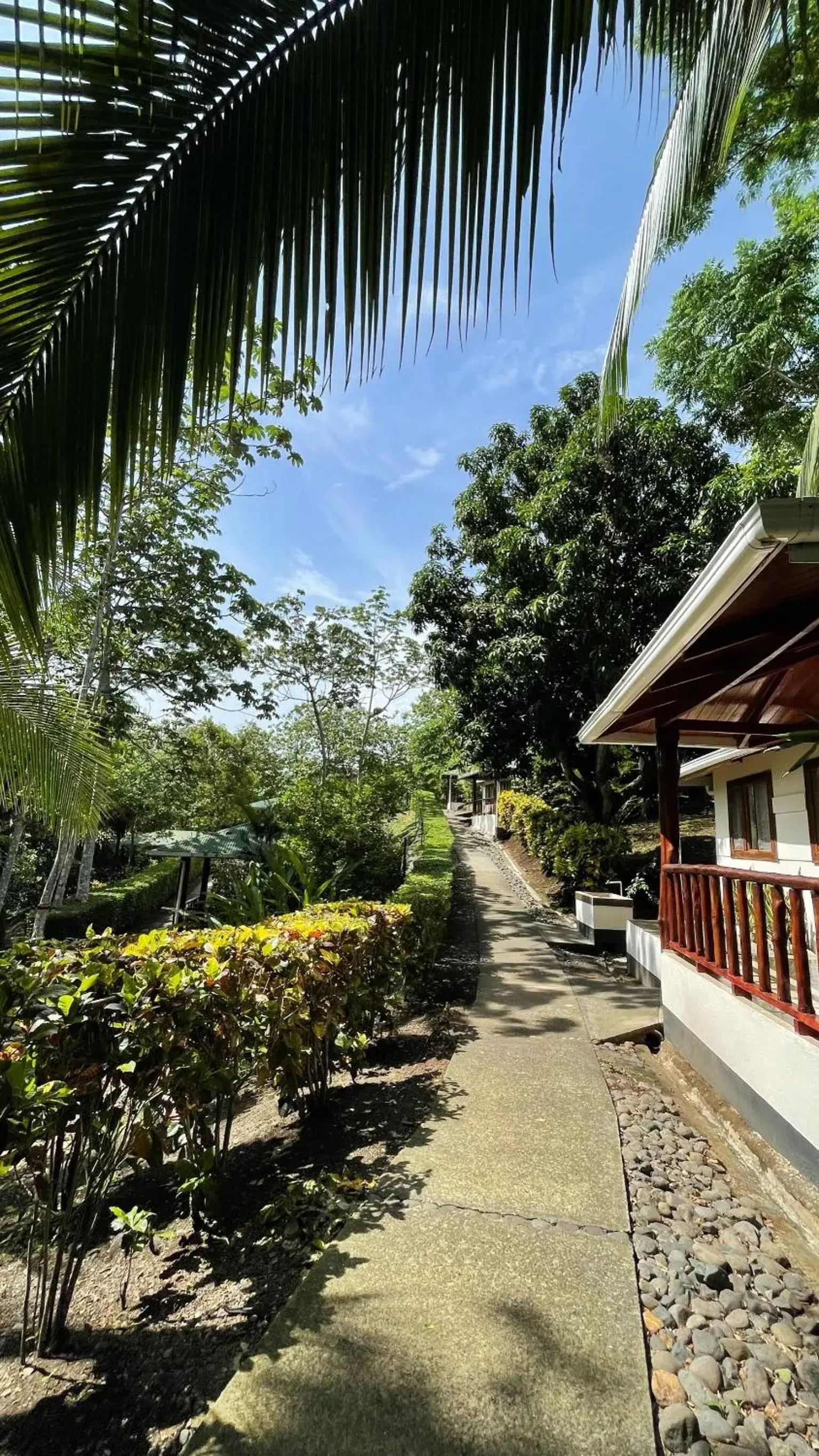 Garden view in Hotel Cerro Lodge Garden view in Hotel Cerro Lodge