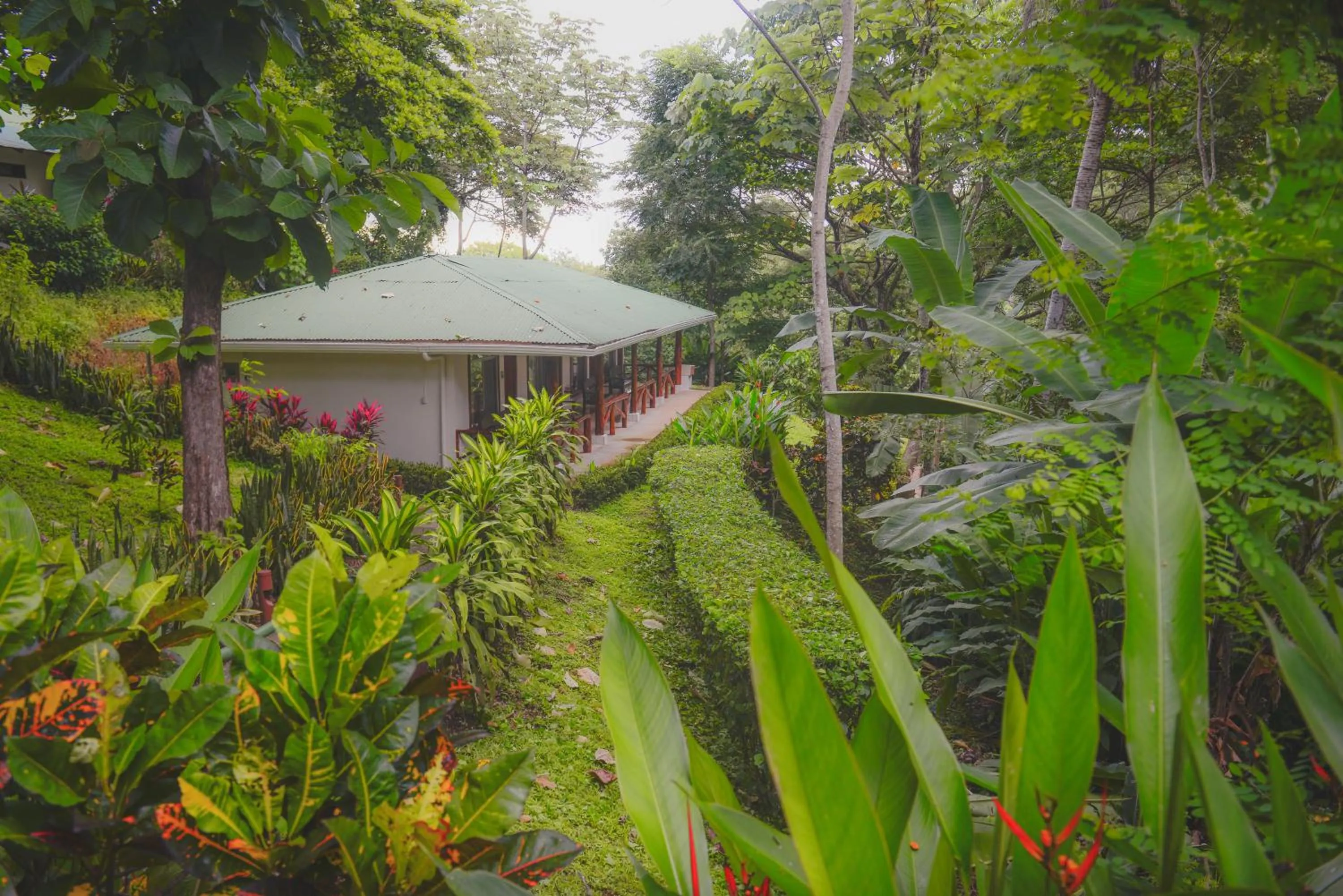 Garden in Hotel Cerro Lodge