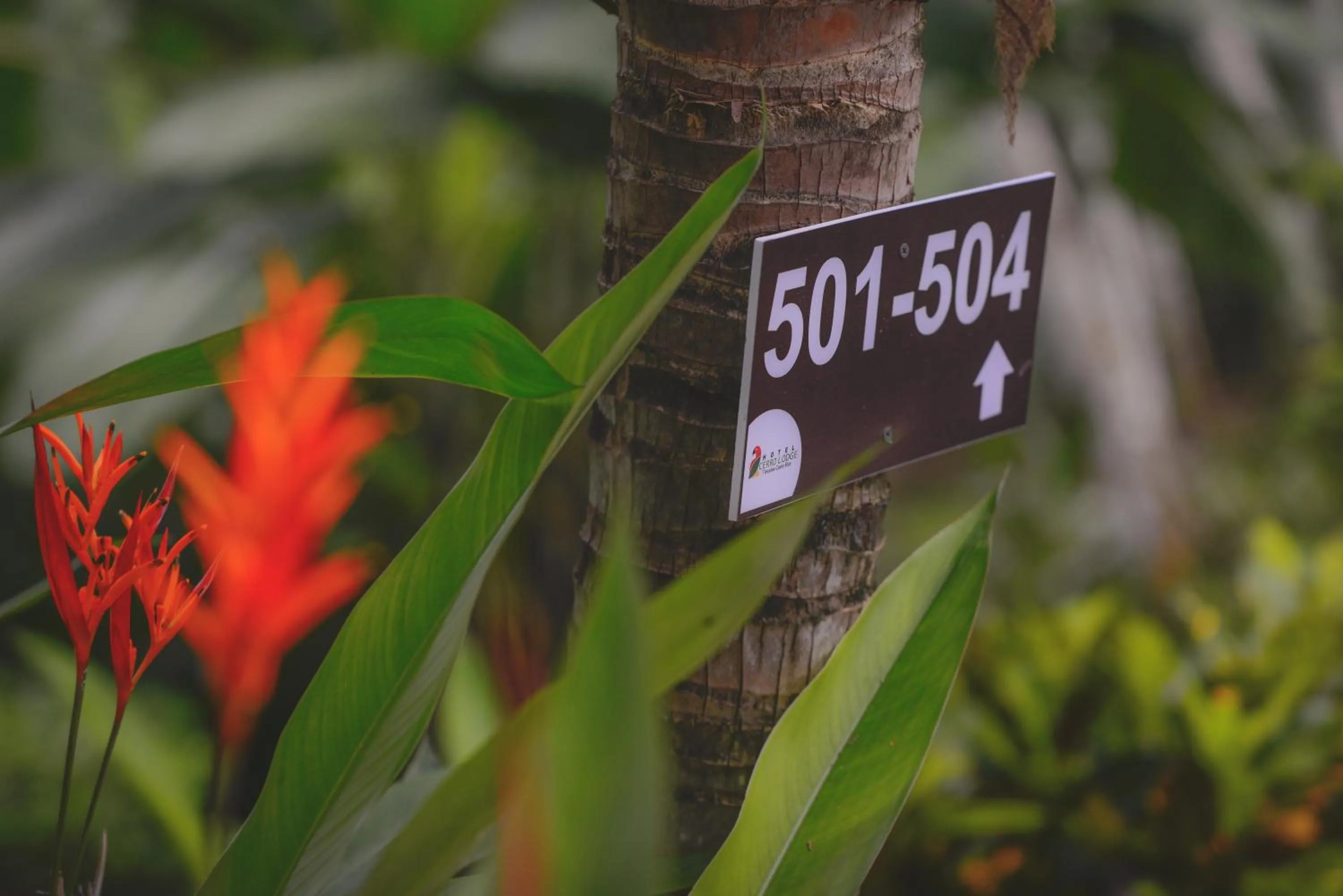 Property logo or sign in Hotel Cerro Lodge