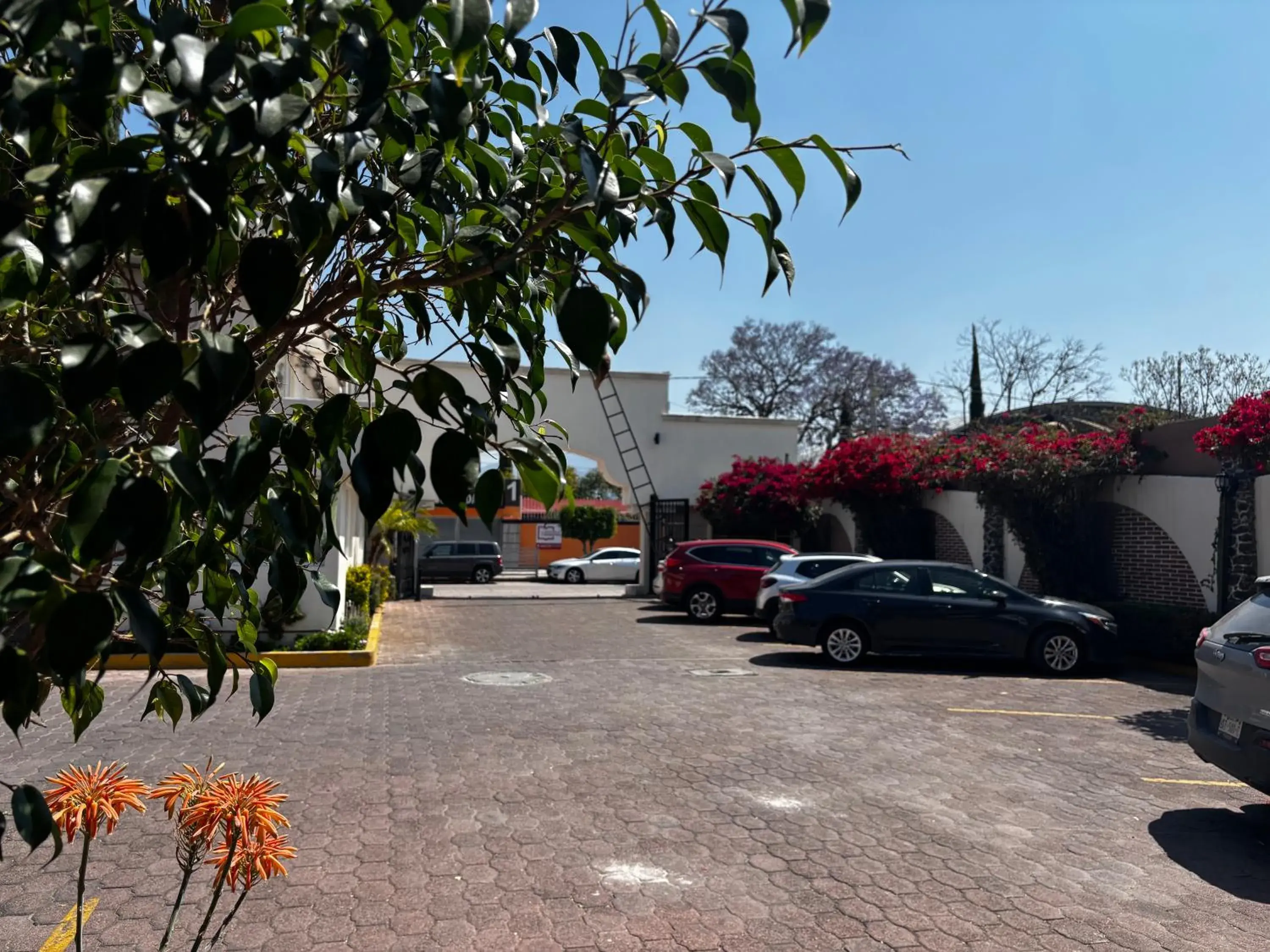 Hotel Quinta Rivera Hotel Quinta Rivera