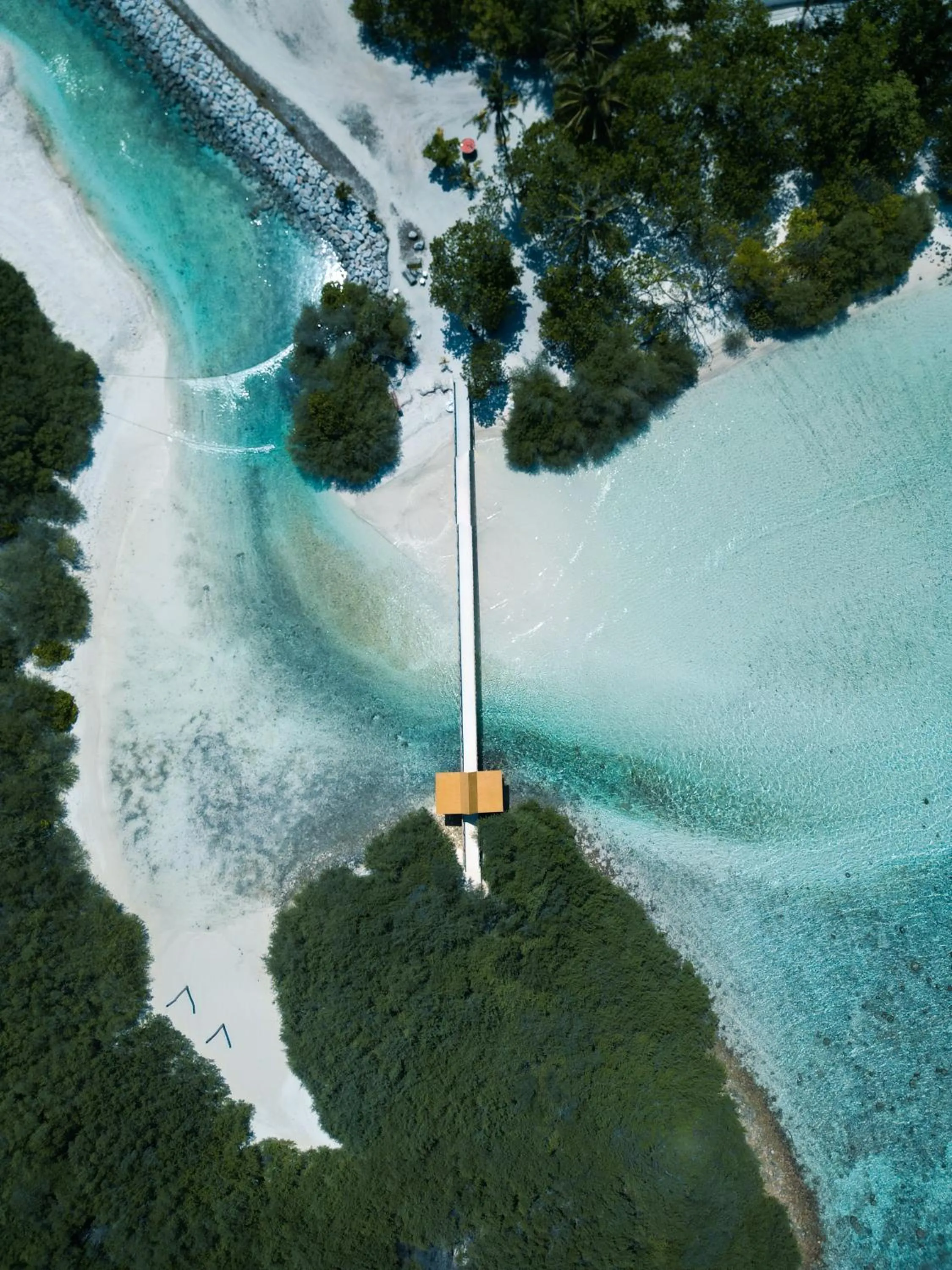 Bibee Surf