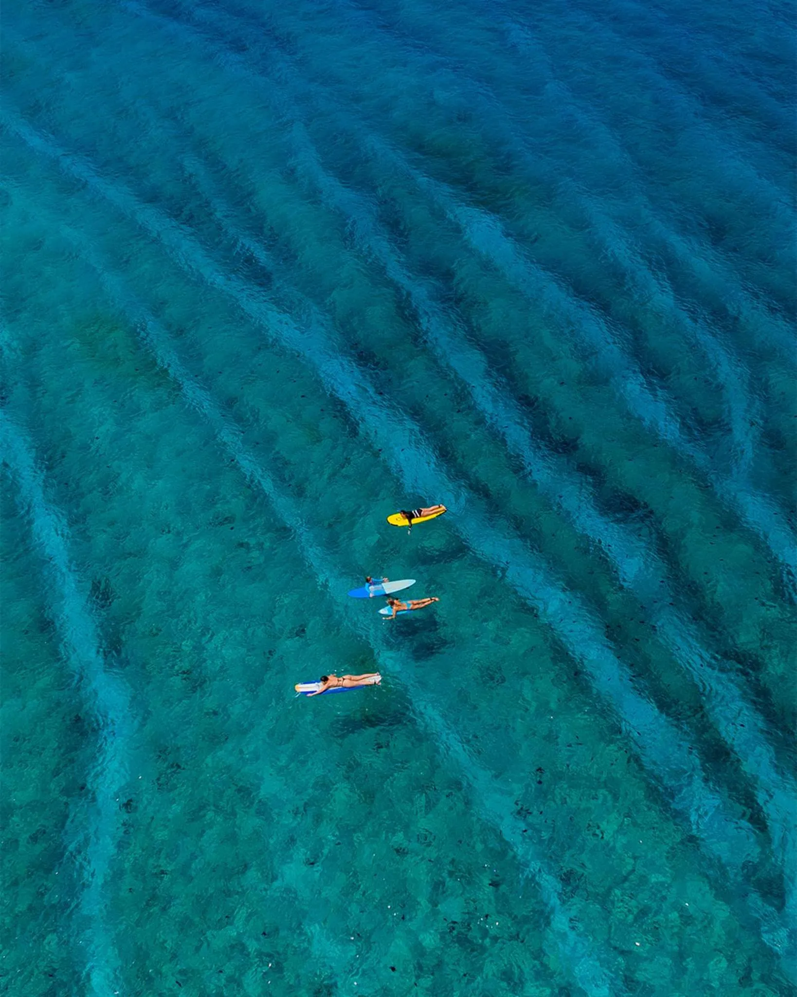 Bibee Surf