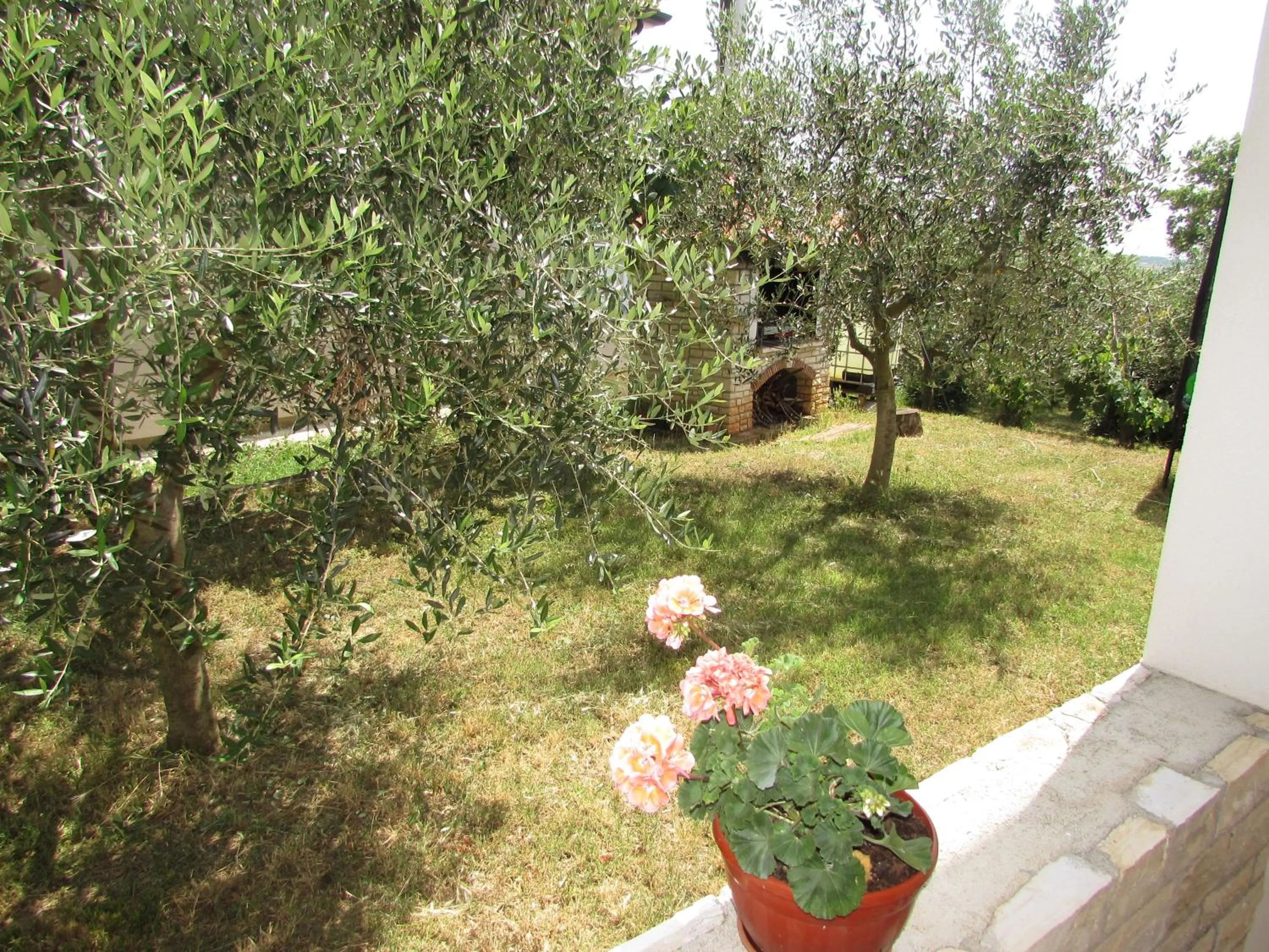 Apartments Goga