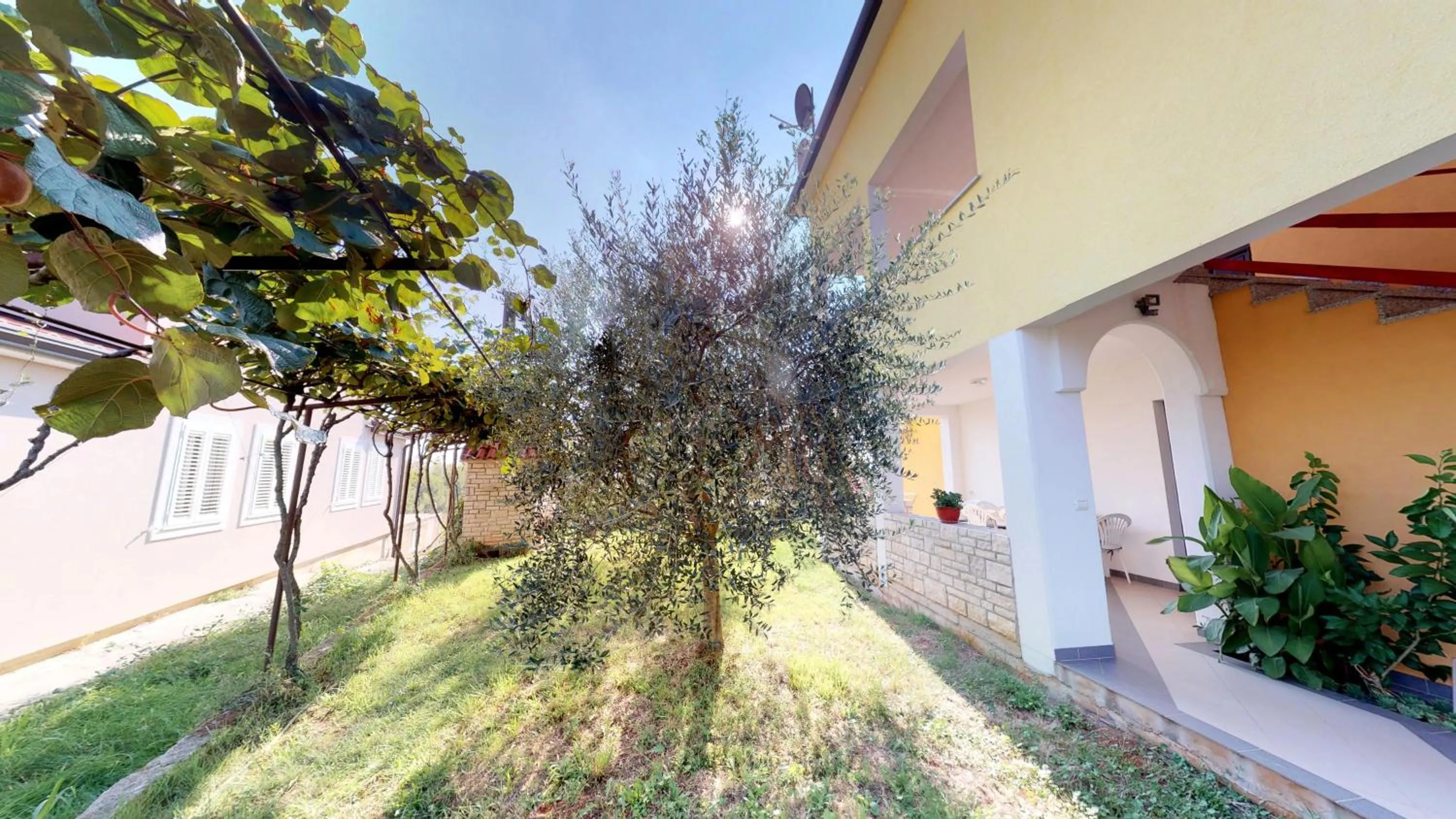 Apartments Goga