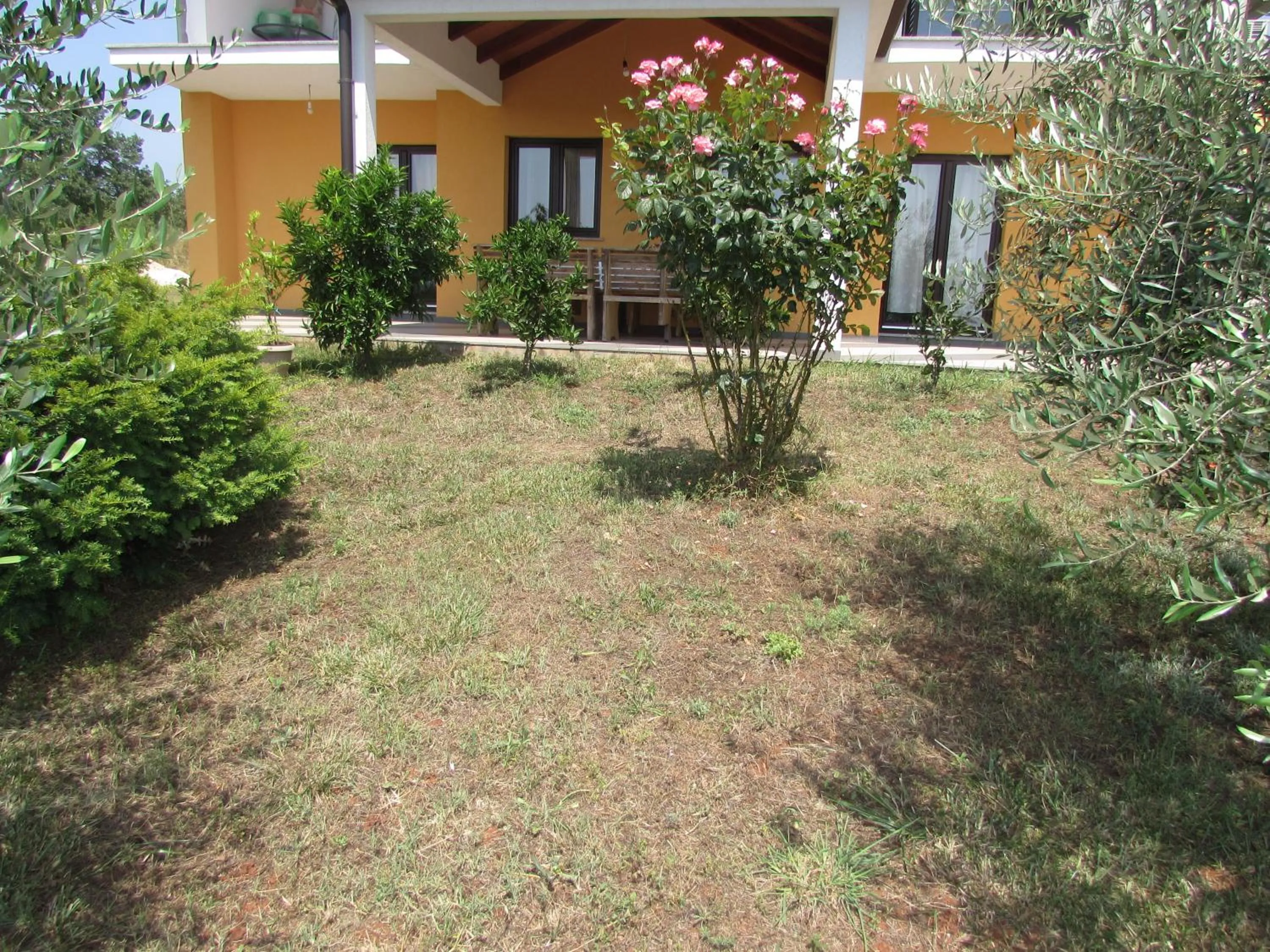 Apartments Goga