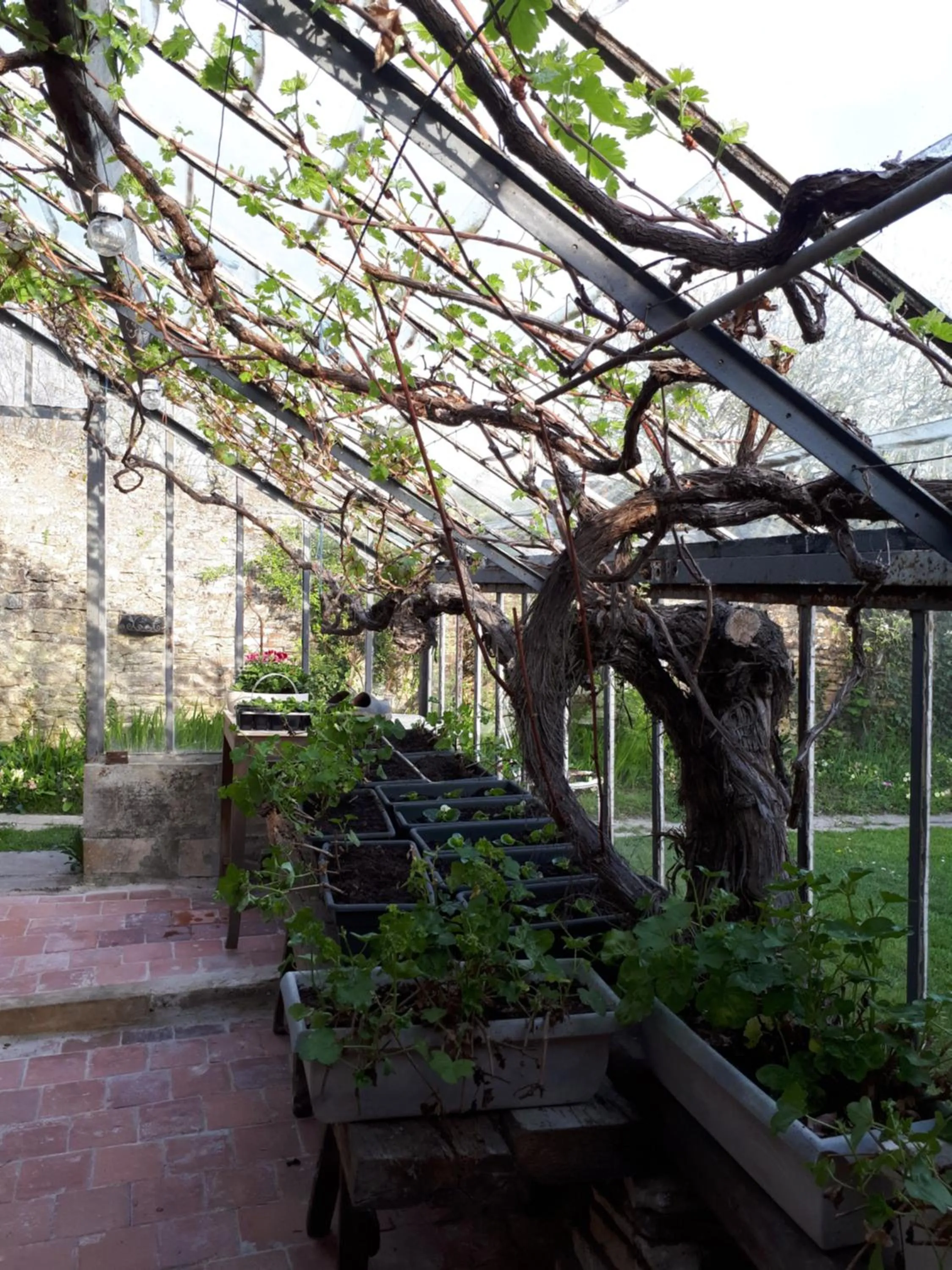 Garden in Les Lilas de Bellefontaine