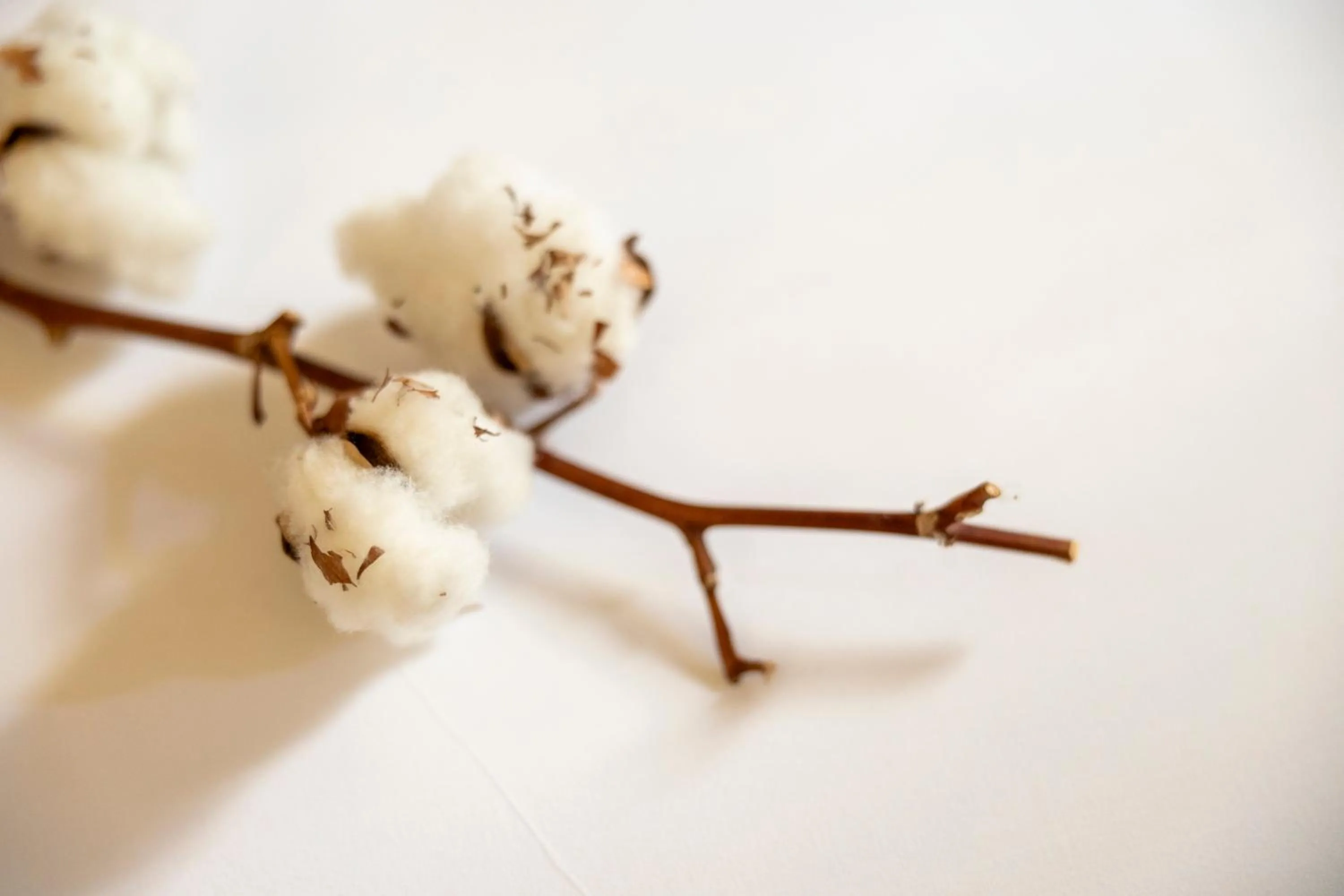 Decorative detail in Hotel Boutique Patio del Posadero