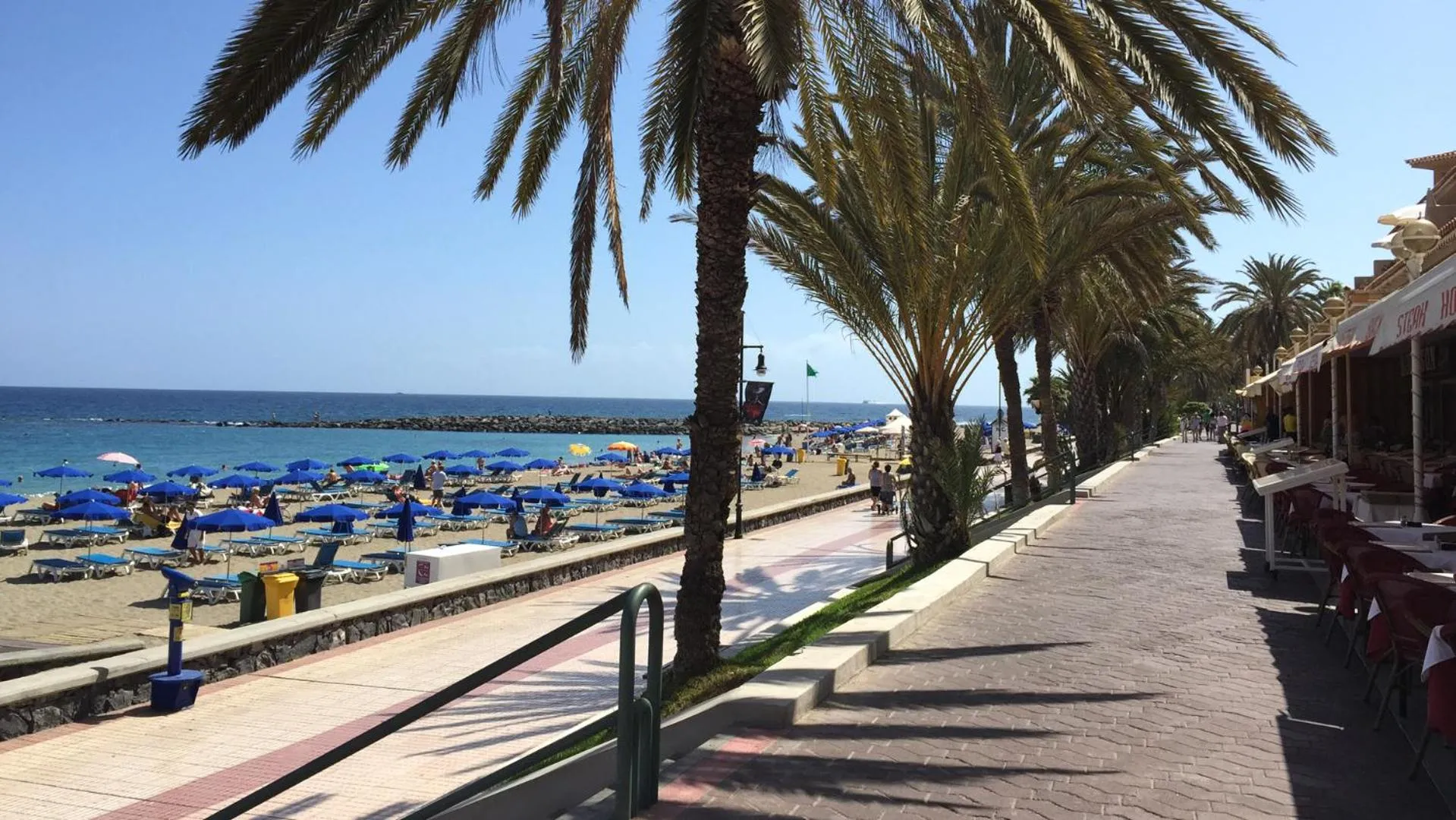 Beach in Beachfront Residence Las Americas - TRG