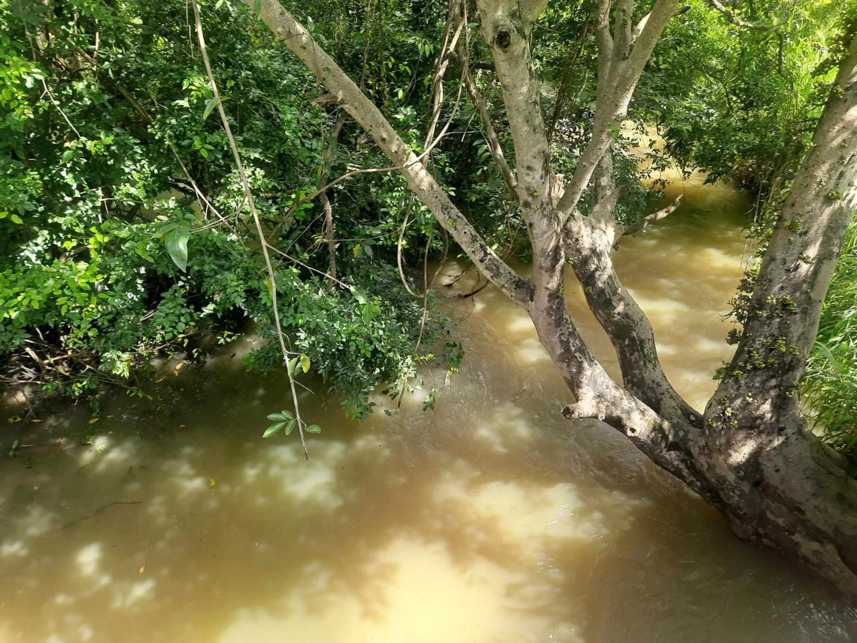 Natural landscape in Sigiri Dasa Home stay