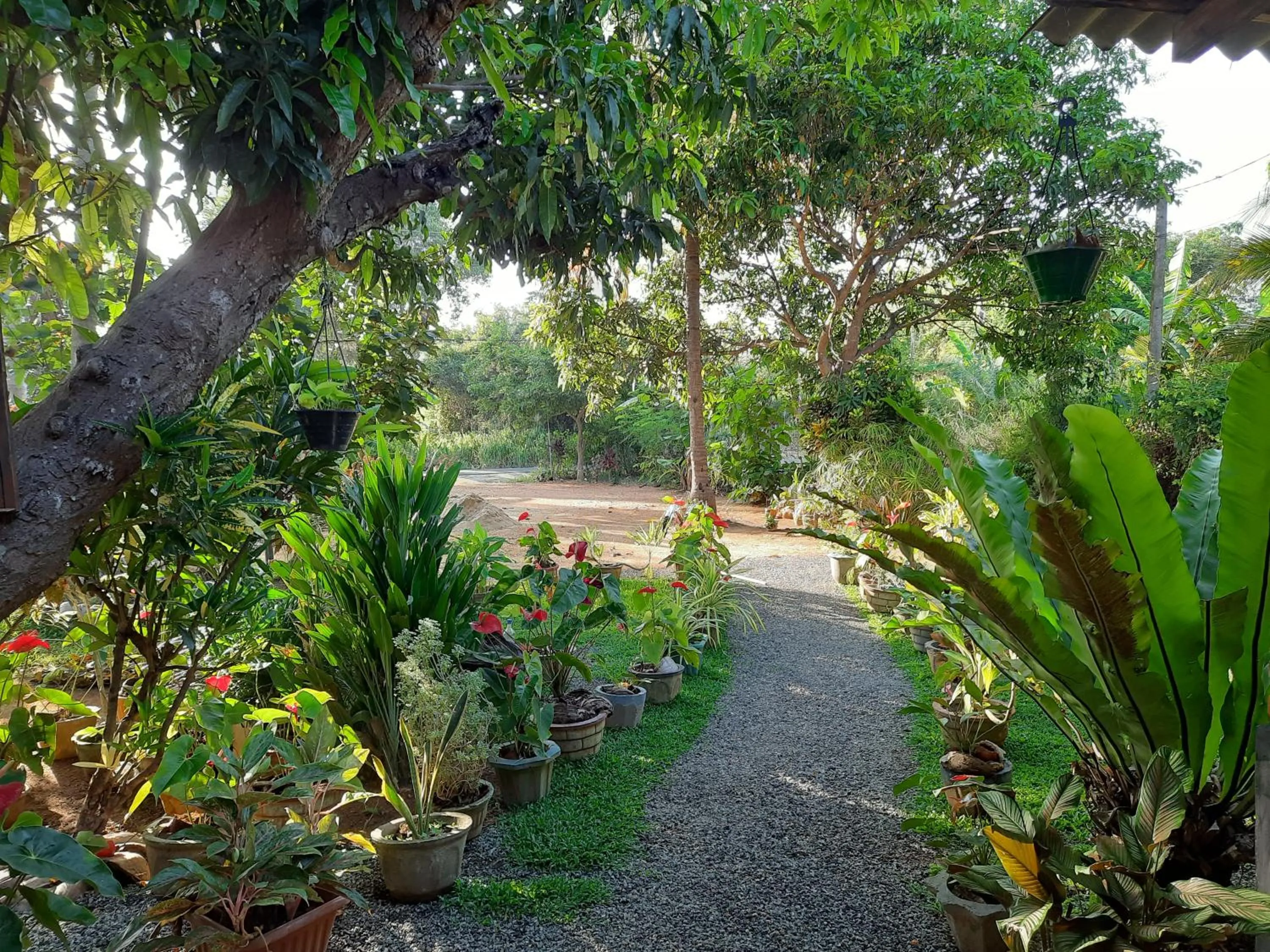 Sigiri Dasa Home stay