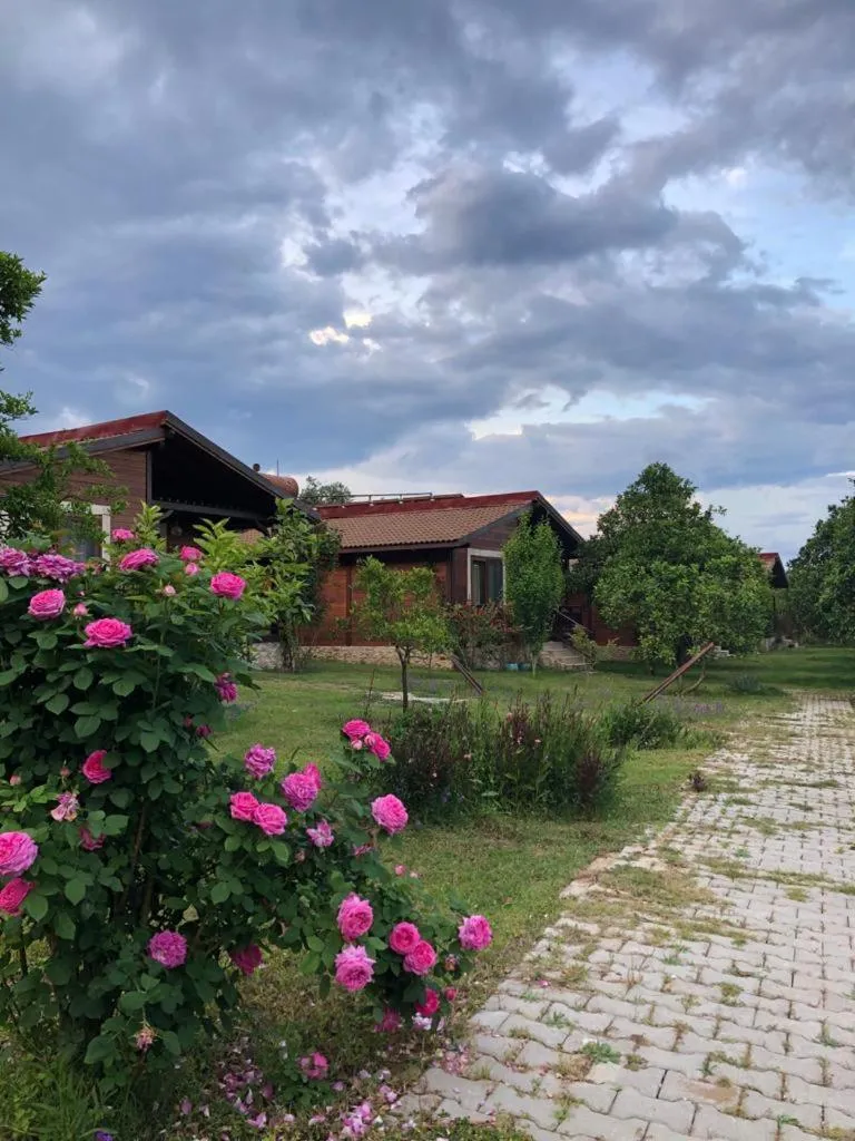 Villa Bilge