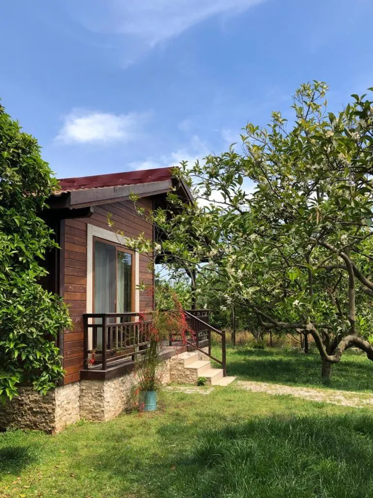 Villa Bilge