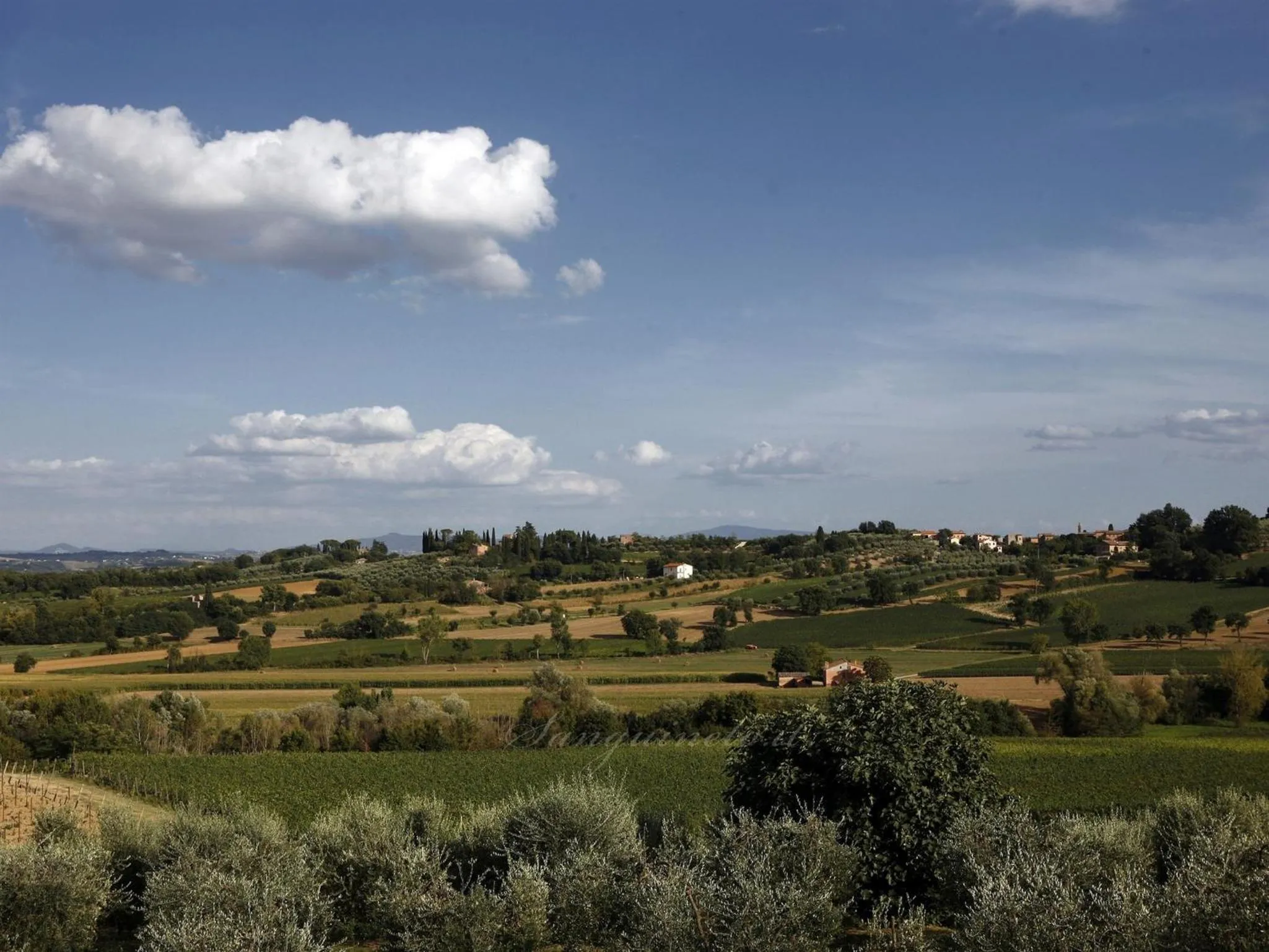 Garden in Agriturismo Sanguineto