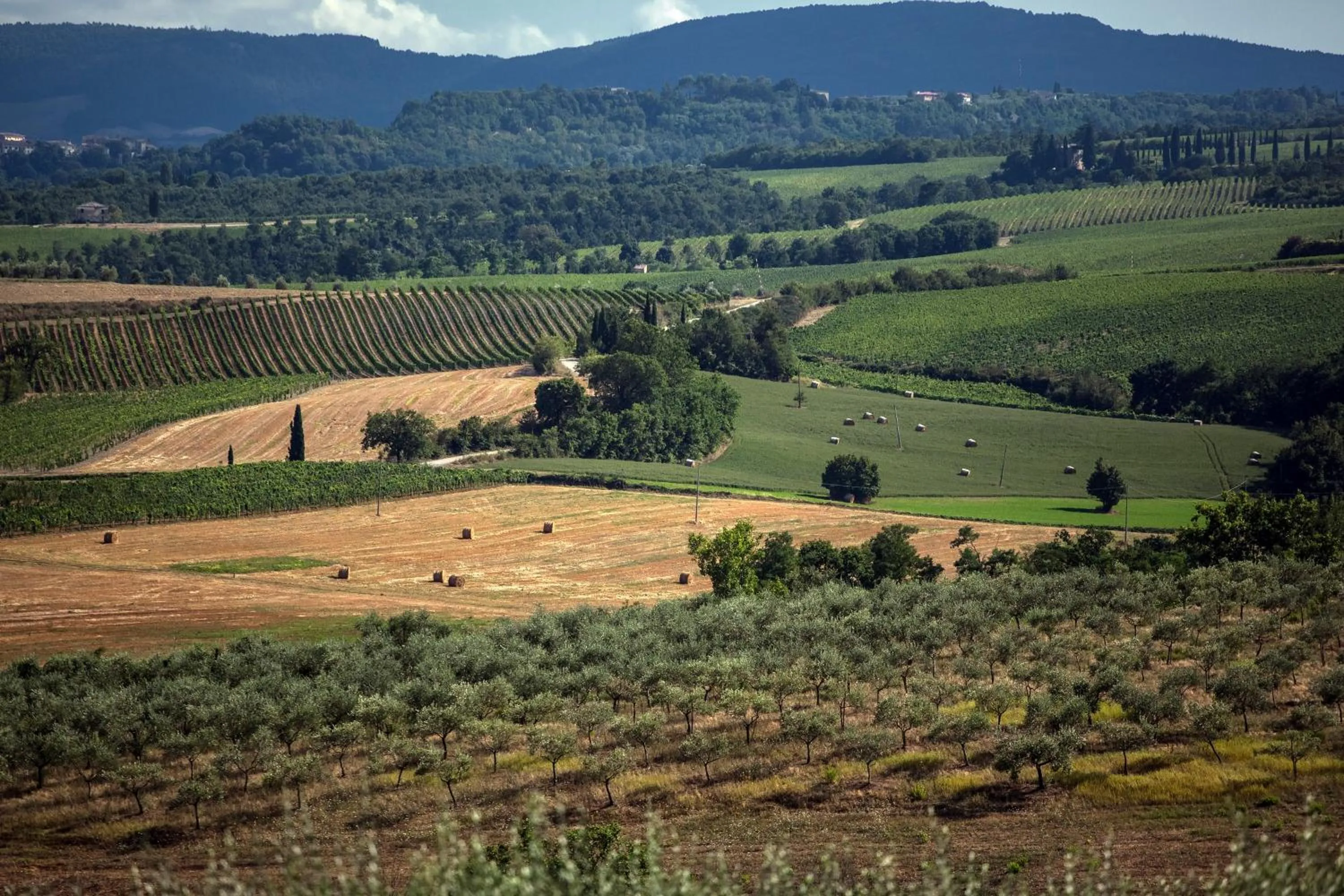 Garden in Agriturismo Sanguineto