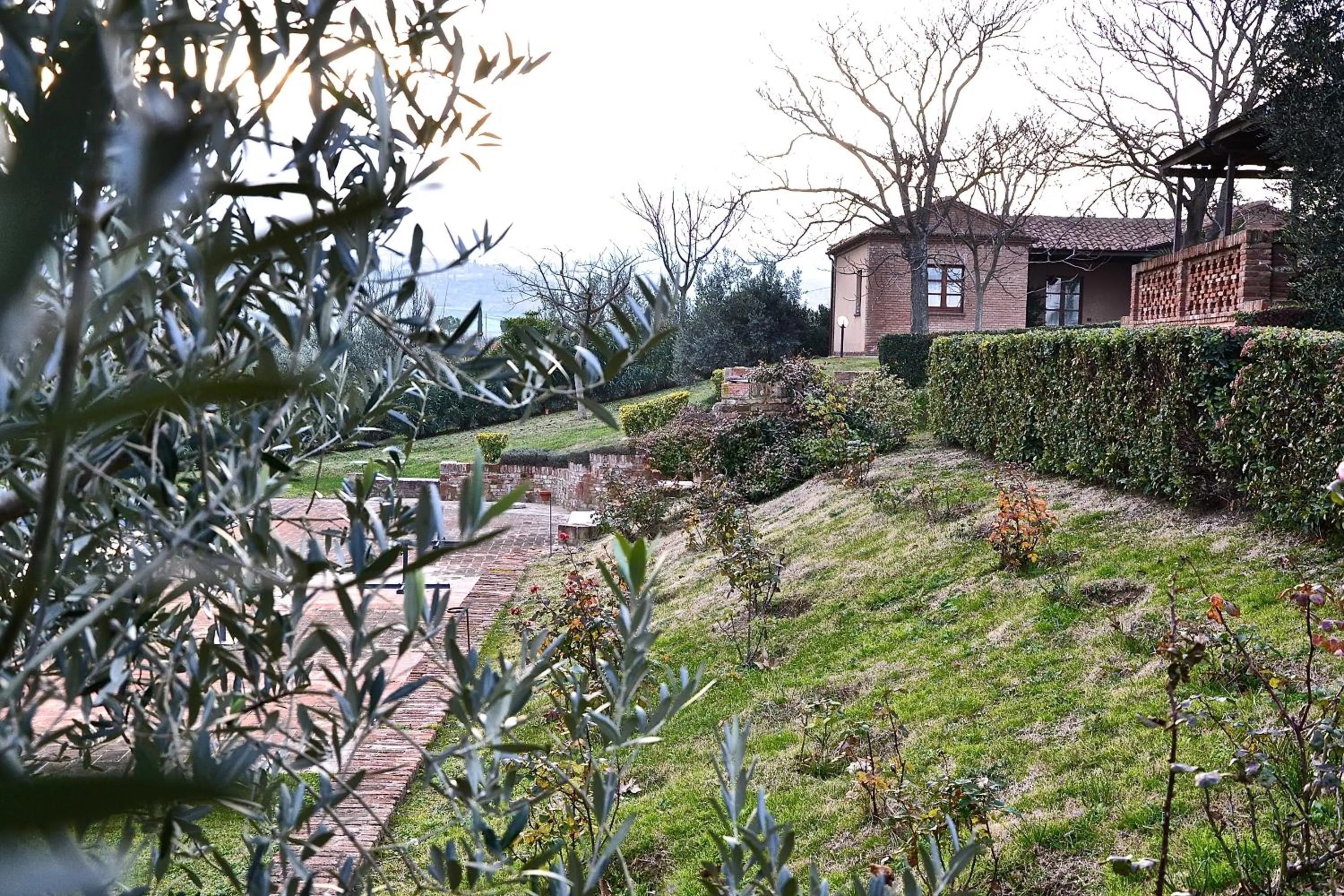 Garden in Agriturismo Sanguineto