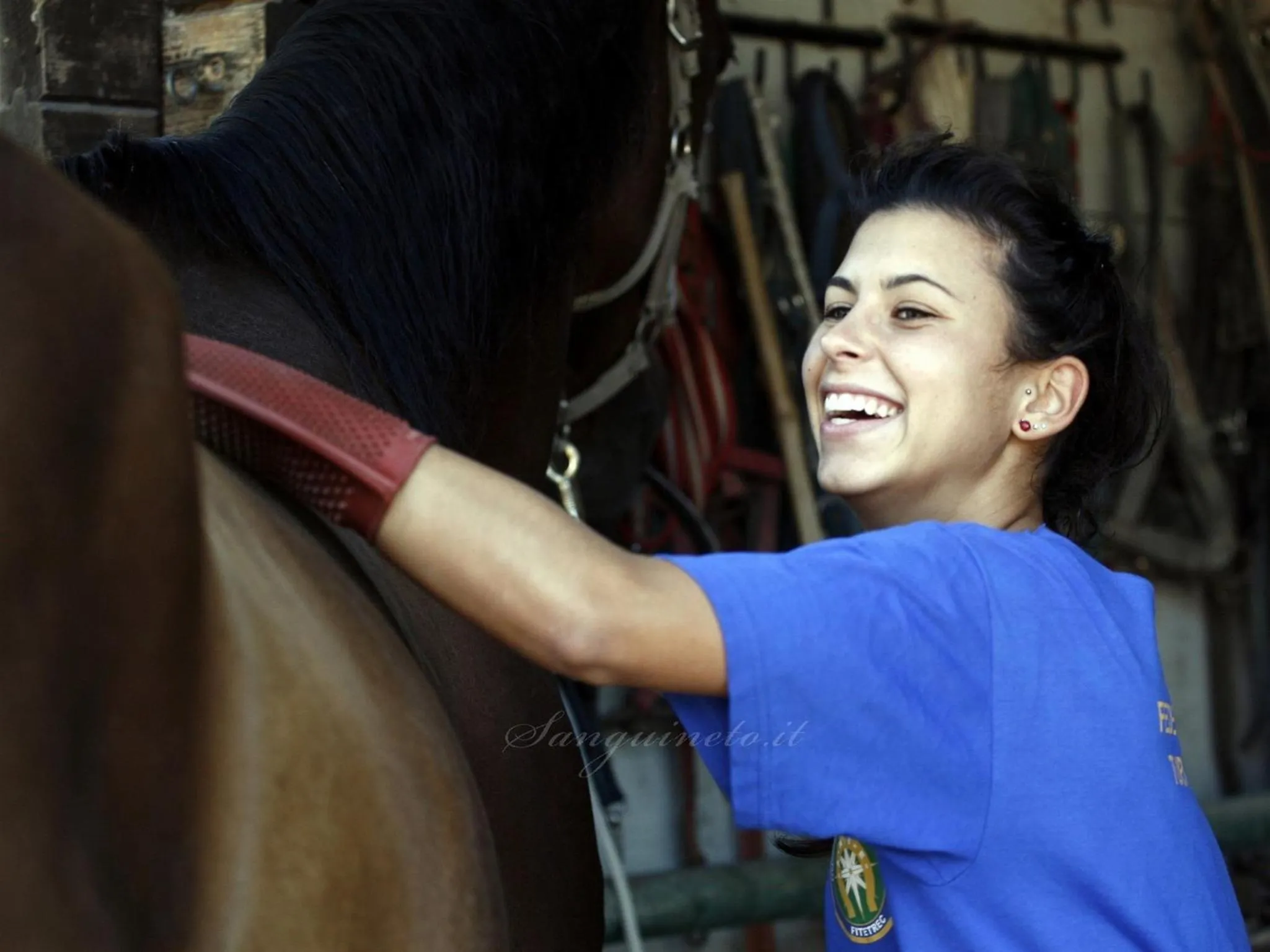 Horse-riding in Agriturismo Sanguineto