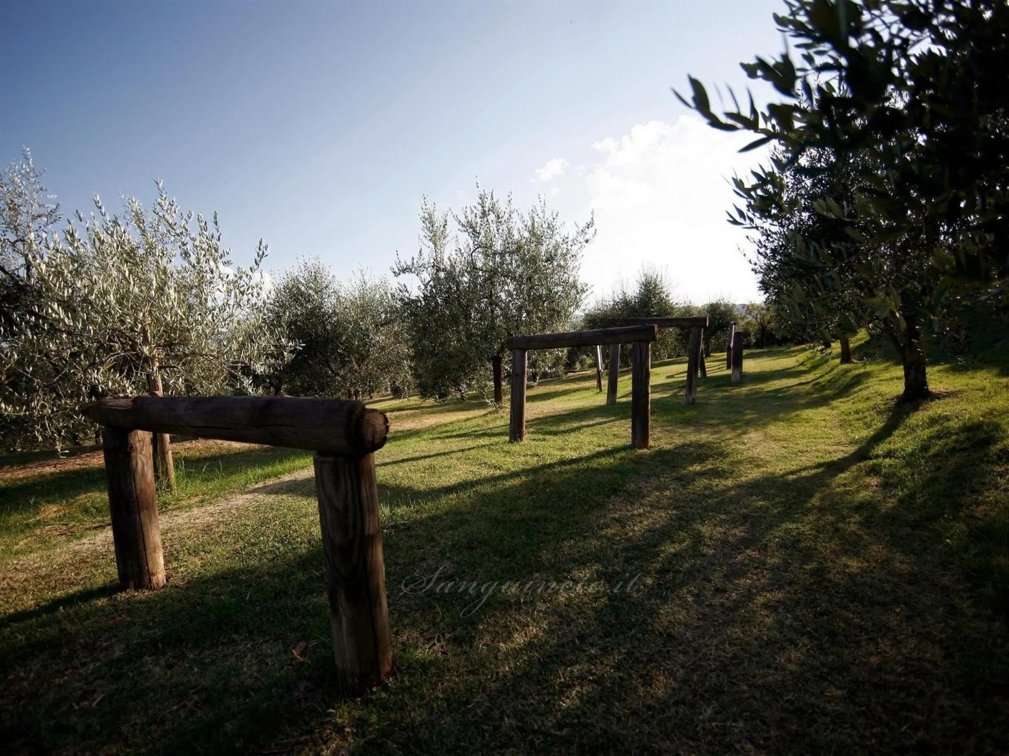 Children play ground in Agriturismo Sanguineto