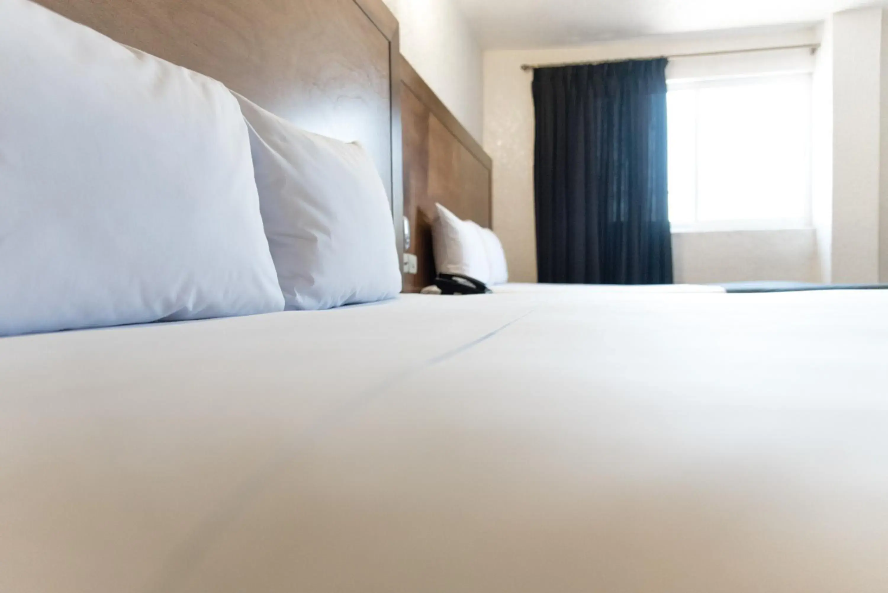 Bed in Hotel Central Irapuato - Hotel en Irapuato Bed in Hotel Central Irapuato - Hotel en Irapuato