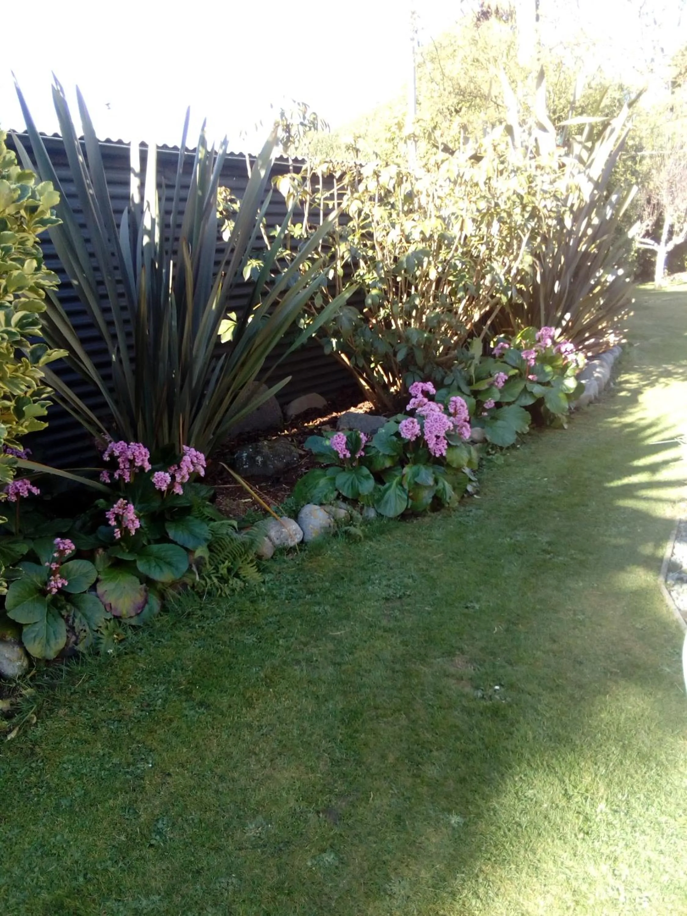 Garden in Four Peaks Motel